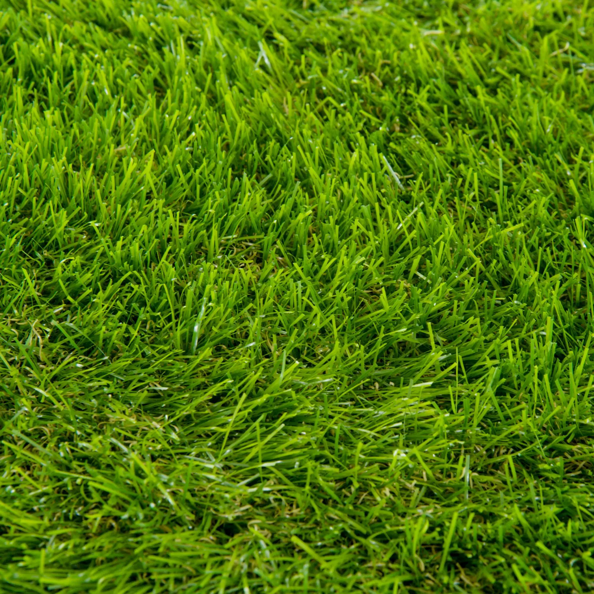 Artificial Grass 10' x 3', UV Protection, Drain Holes, Green - Image 10