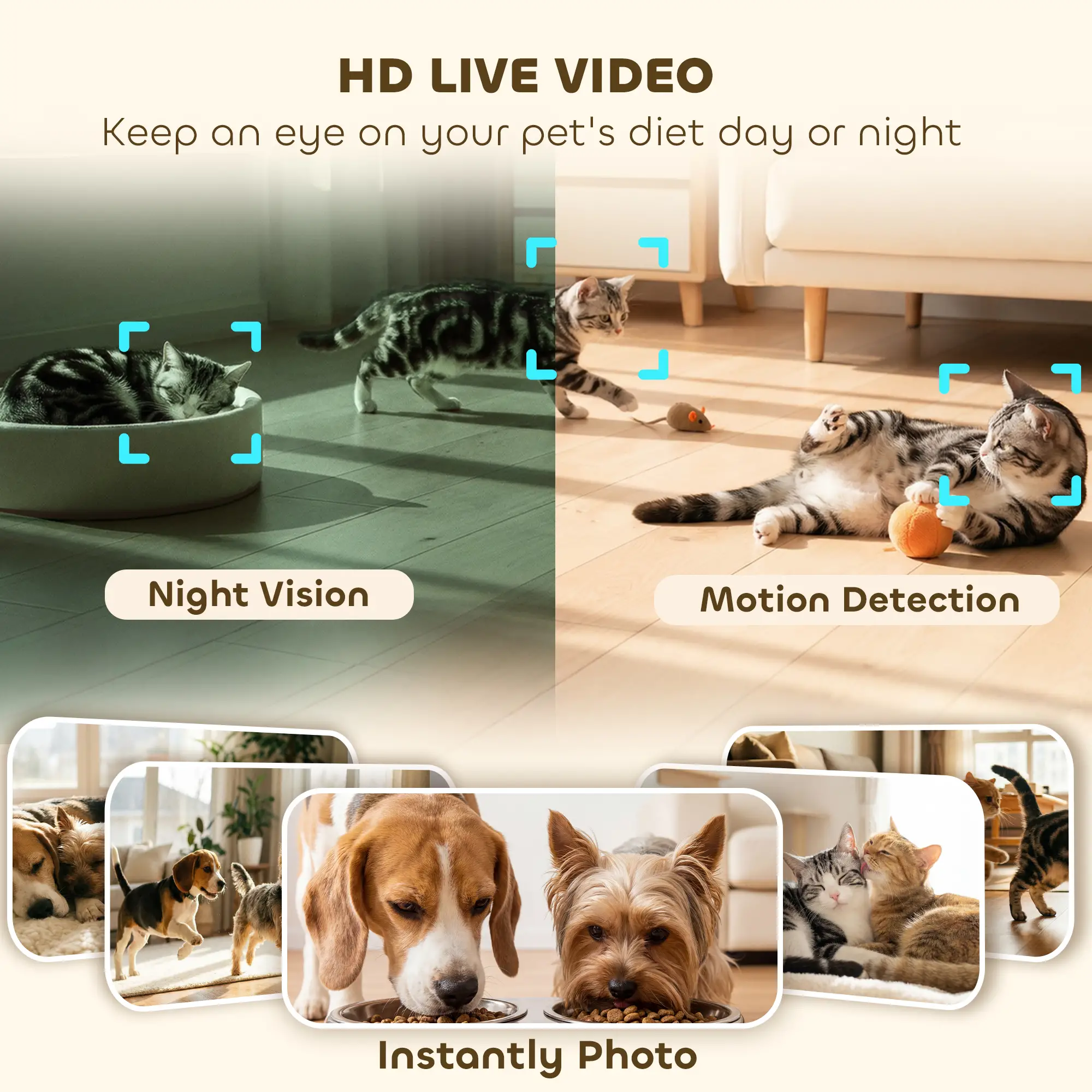 Automatic Cat Feeder, 6L, HD Camera, WiFi App Control - Image 5