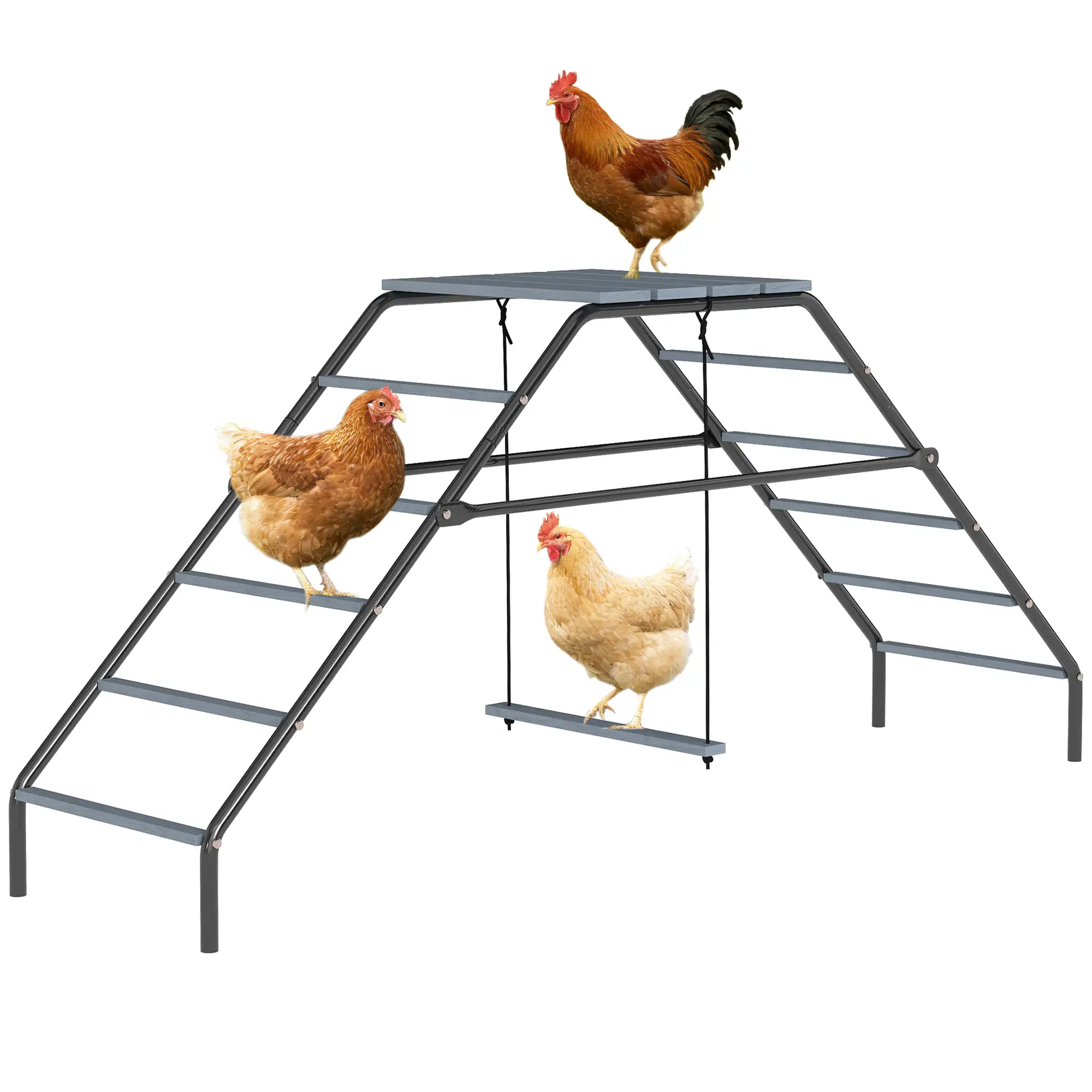 Chicken Coop Perches With Swing, Backyard Farm Accessories - Image 11