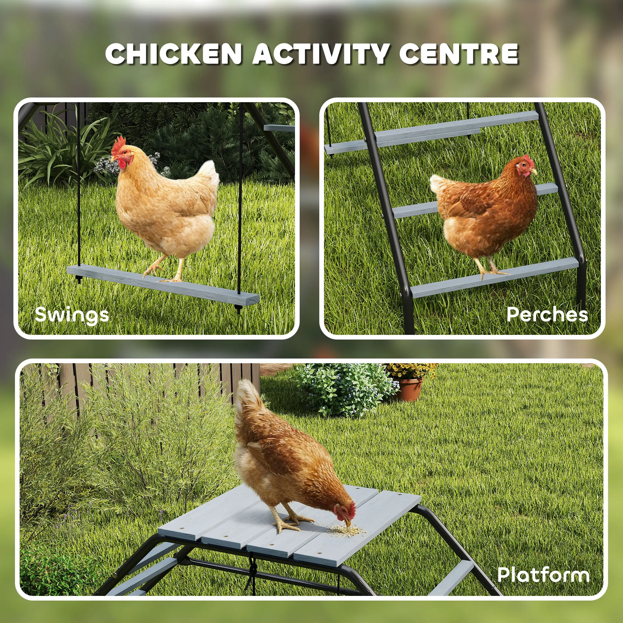 Chicken Coop Perches With Swing, Backyard Farm Accessories - Image 5