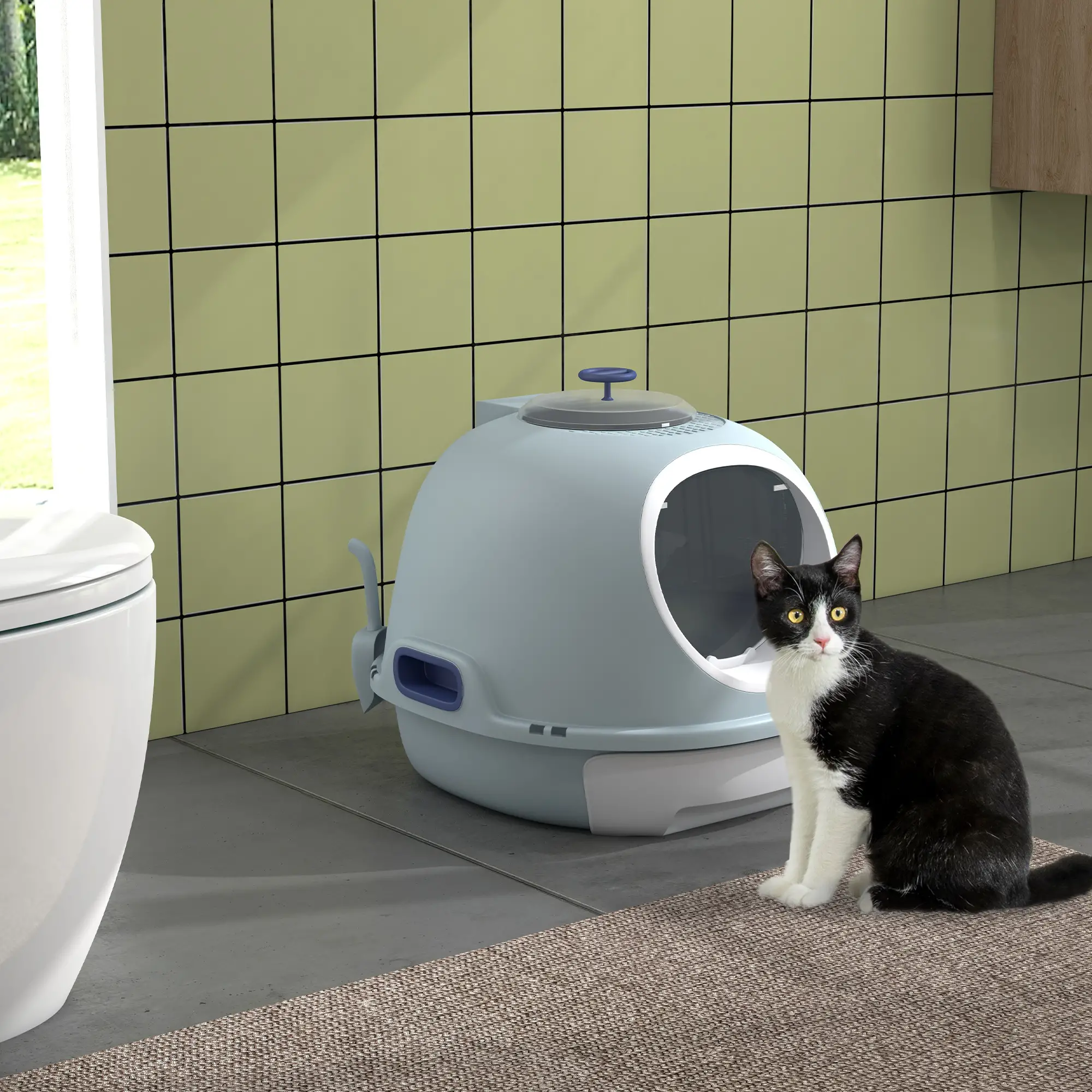 Covered Cat Litter Box with Lid, Scoop, Enclosed Drawer, Skylight, Blue - Image 2