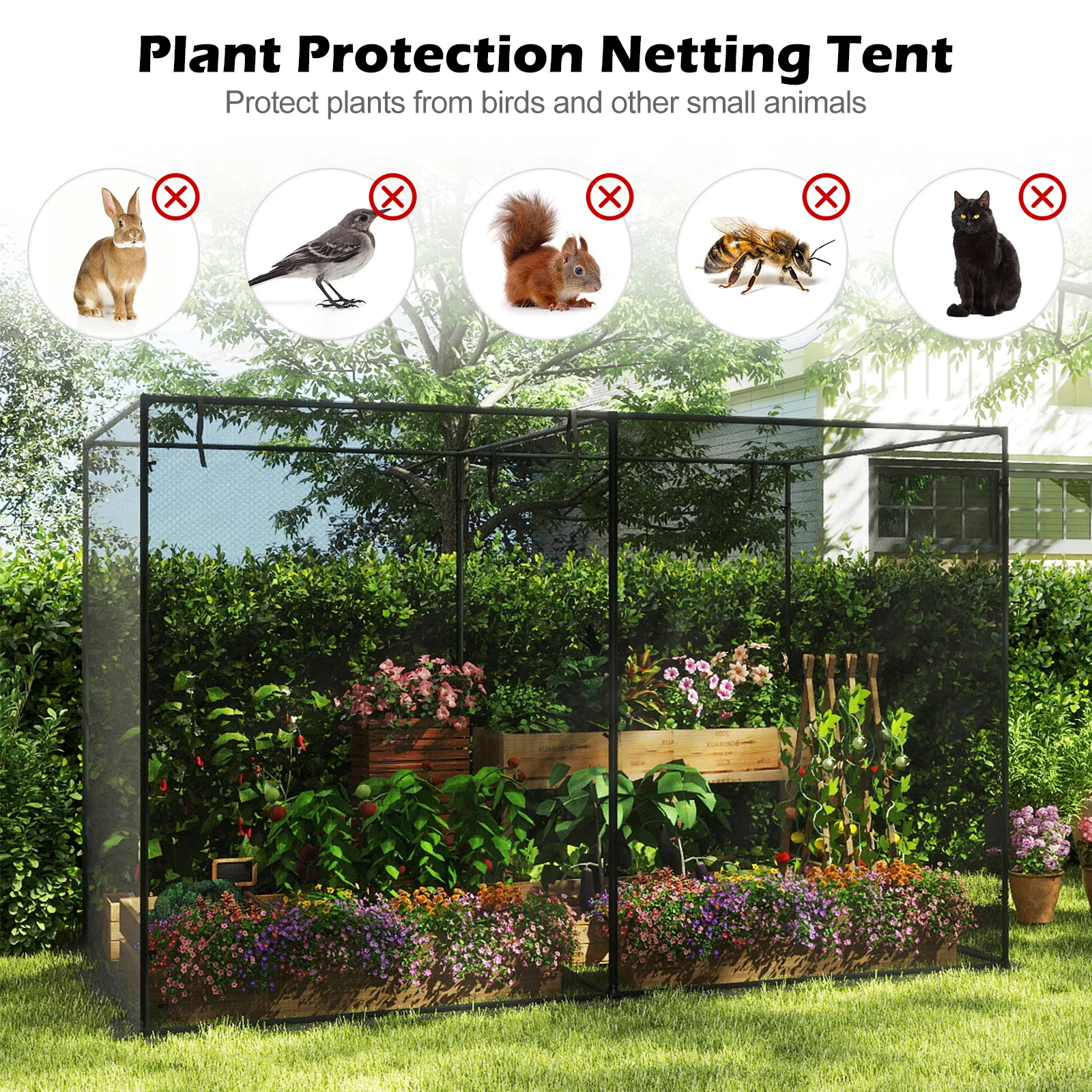 Crop Cages with 6 Ground Nails for Garden Plant - Image 7