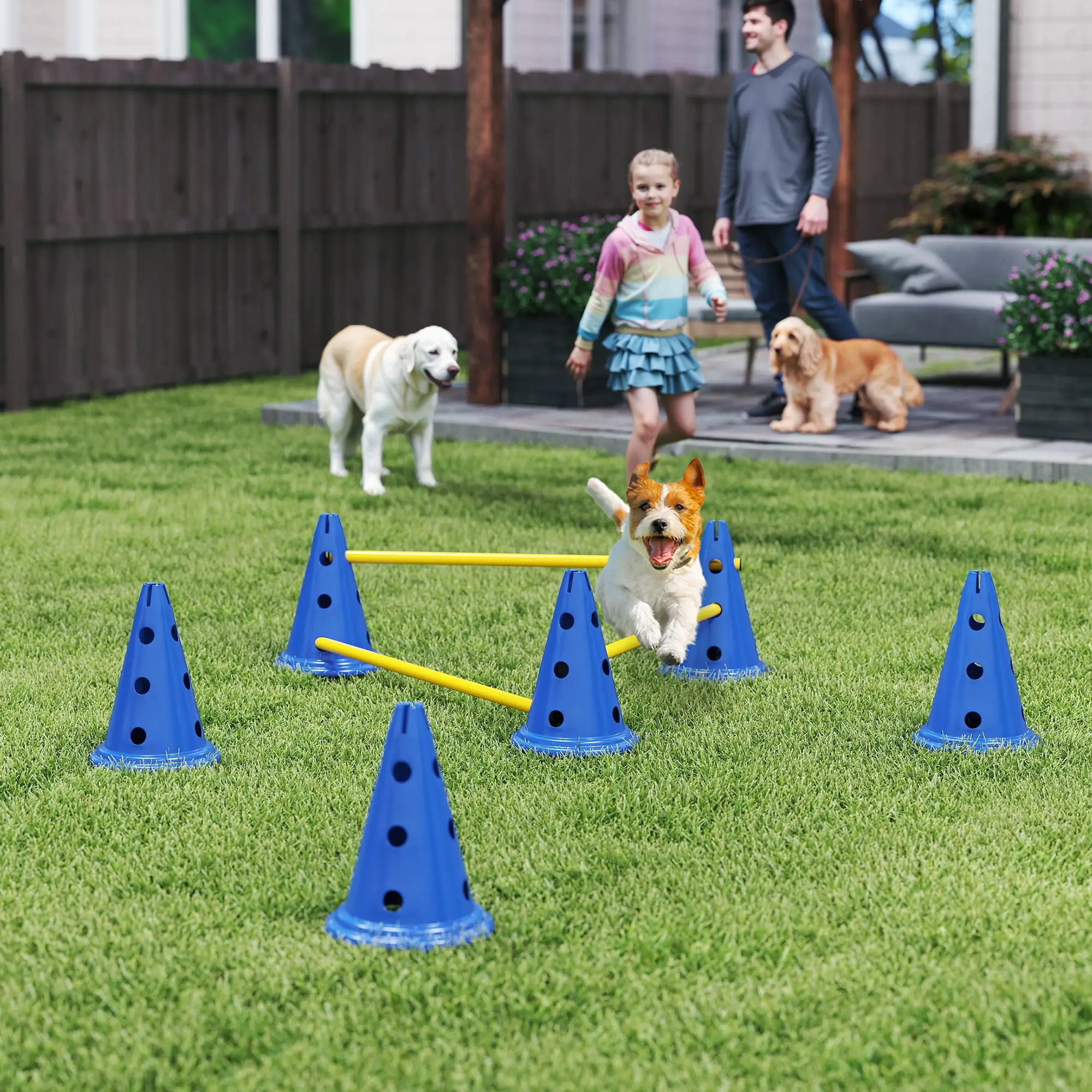 Dog Agility Hurdle Cone Set, Adjustable Obstacle Course, 6 Cones & Poles, Blue - Image 2