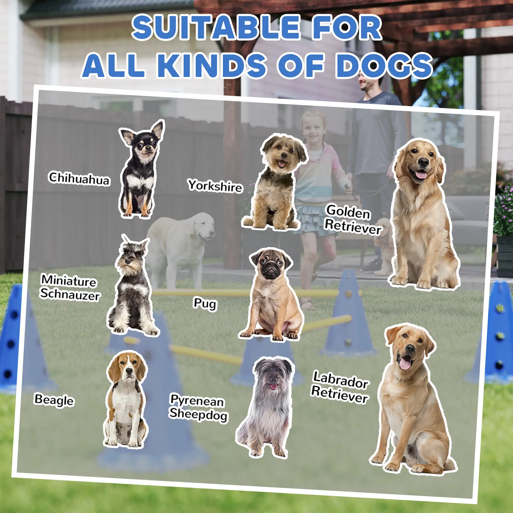 Dog Agility Hurdle Cone Set, Adjustable Obstacle Course, 6 Cones & Poles, Blue - Image 9