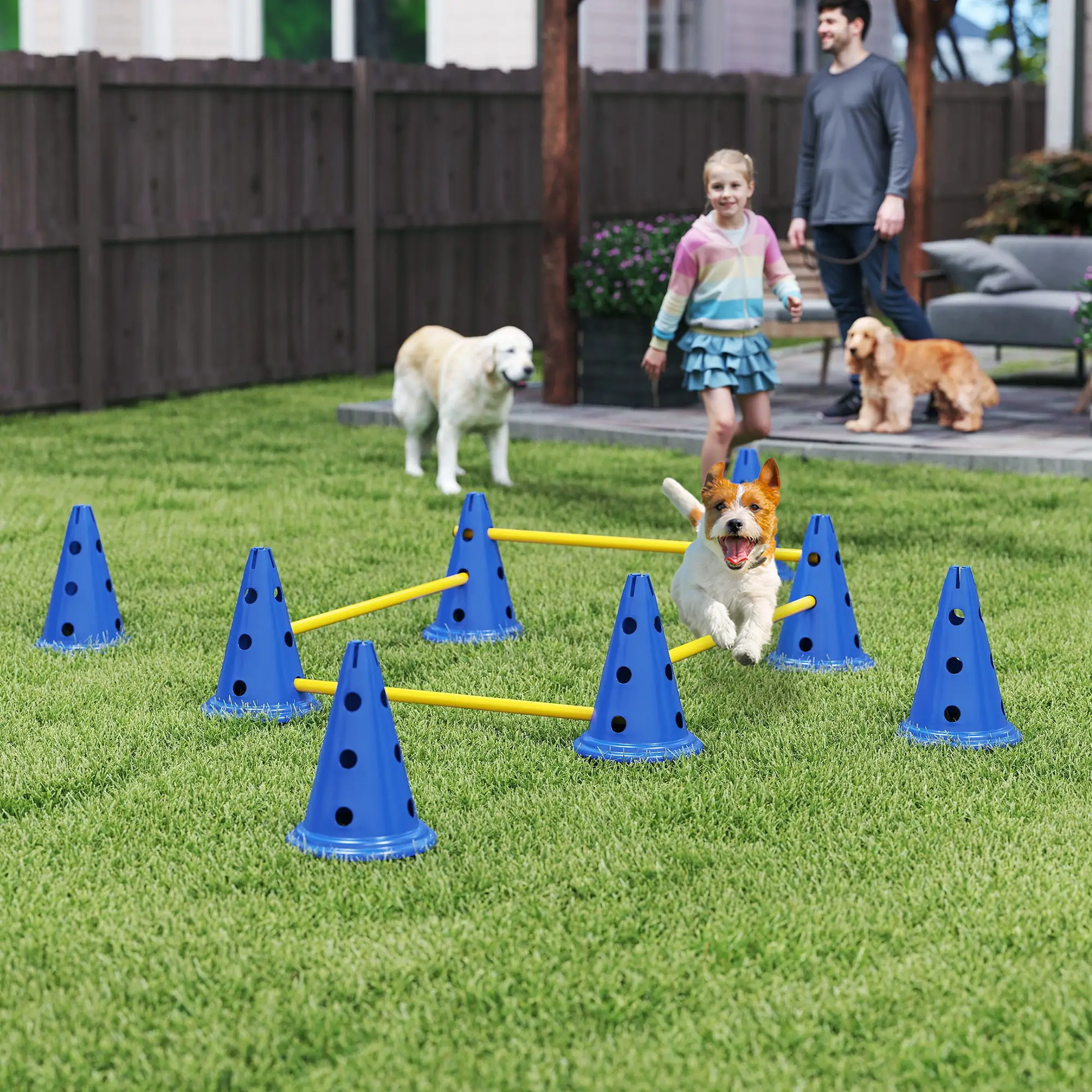 Dog Agility Hurdle Cone Set, Adjustable Obstacle Course, 8 Cones & 8 Poles, Blue - Image 2