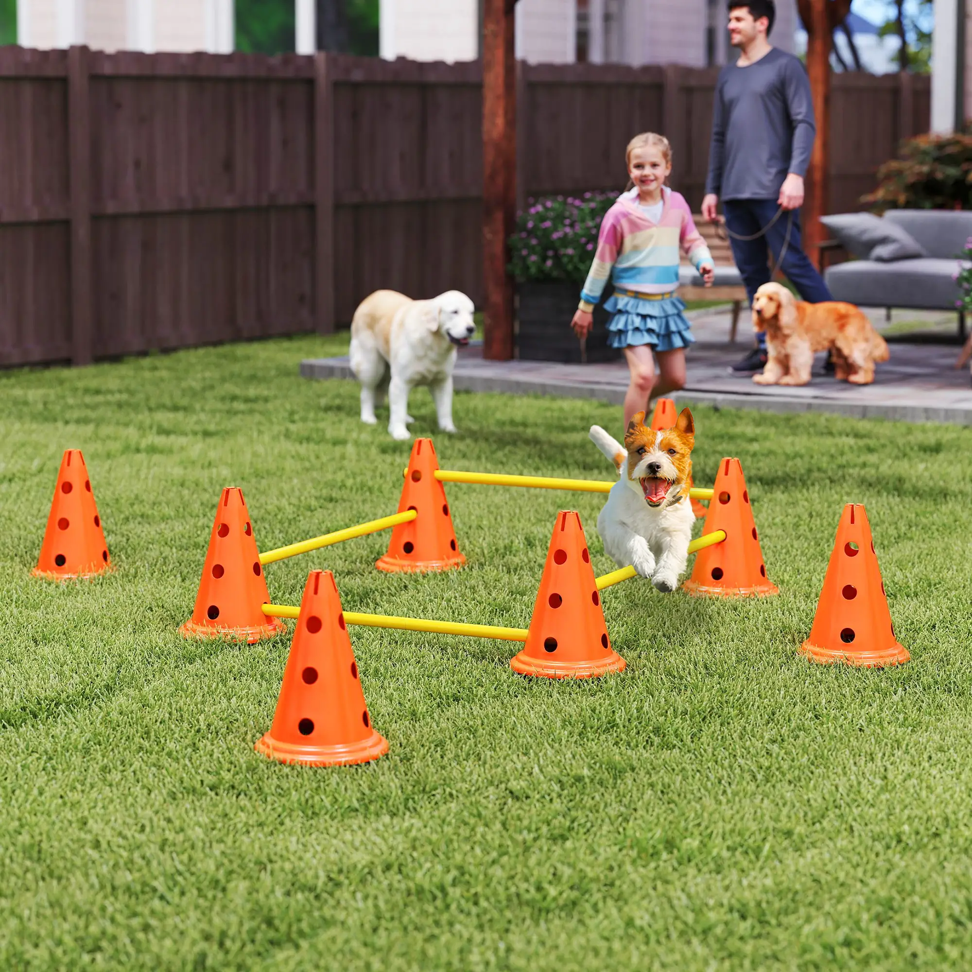 Dog Agility Hurdle Set, Adjustable Obstacle Course, 8 Cones 8 Poles, Orange - Image 2