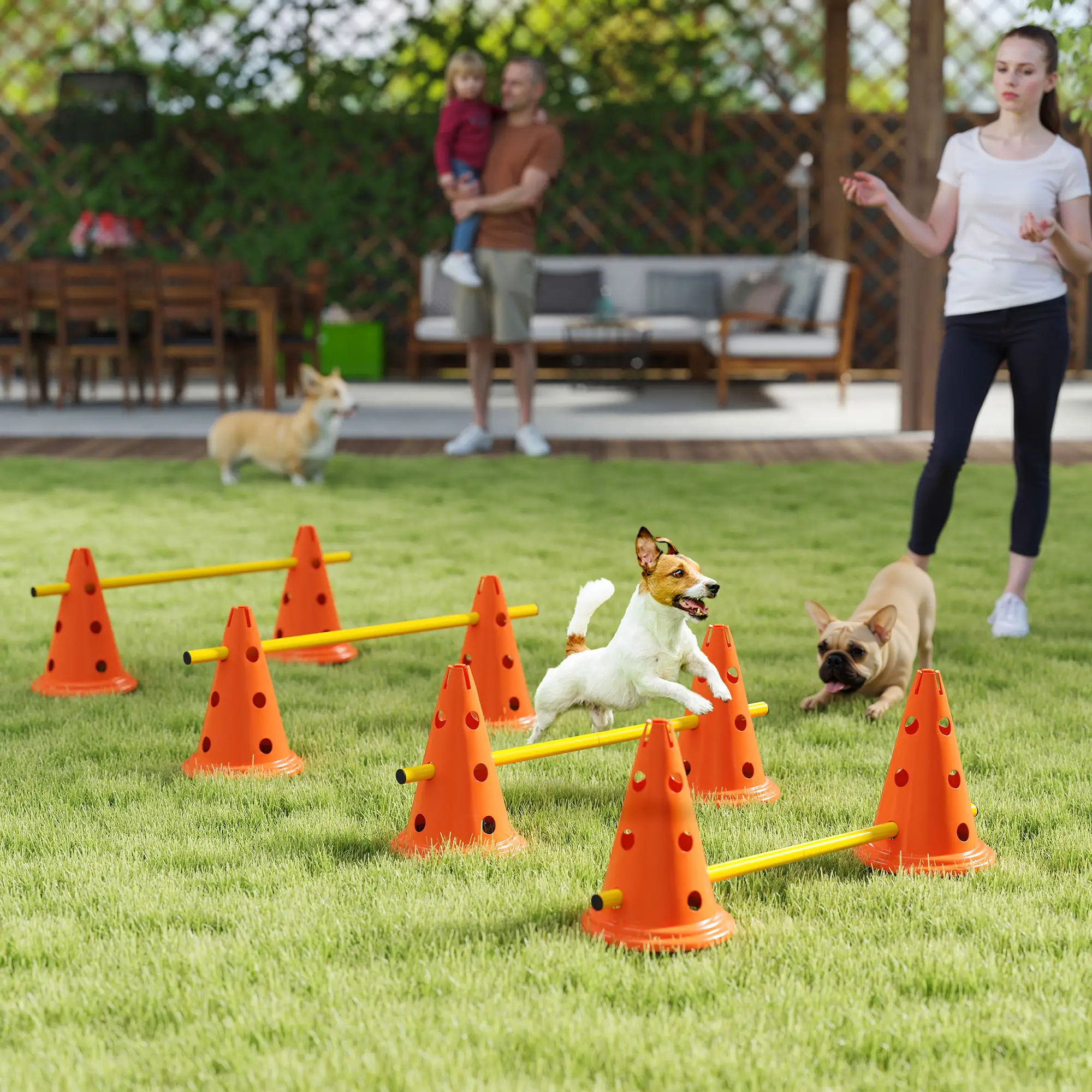 Dog Agility Hurdle Set, Adjustable Obstacle Course, 8 Cones 8 Poles, Orange - Image 8