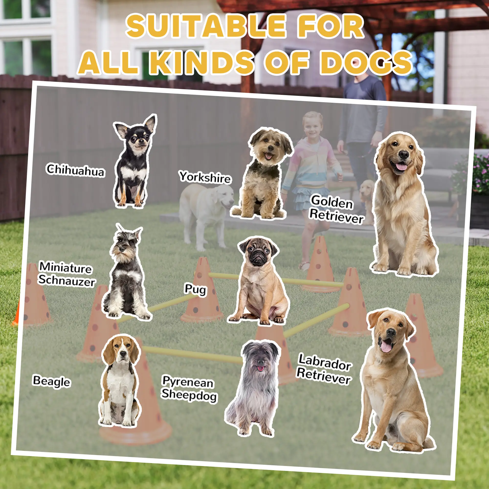 Dog Agility Hurdle Set, Adjustable Obstacle Course, 8 Cones 8 Poles, Orange - Image 9