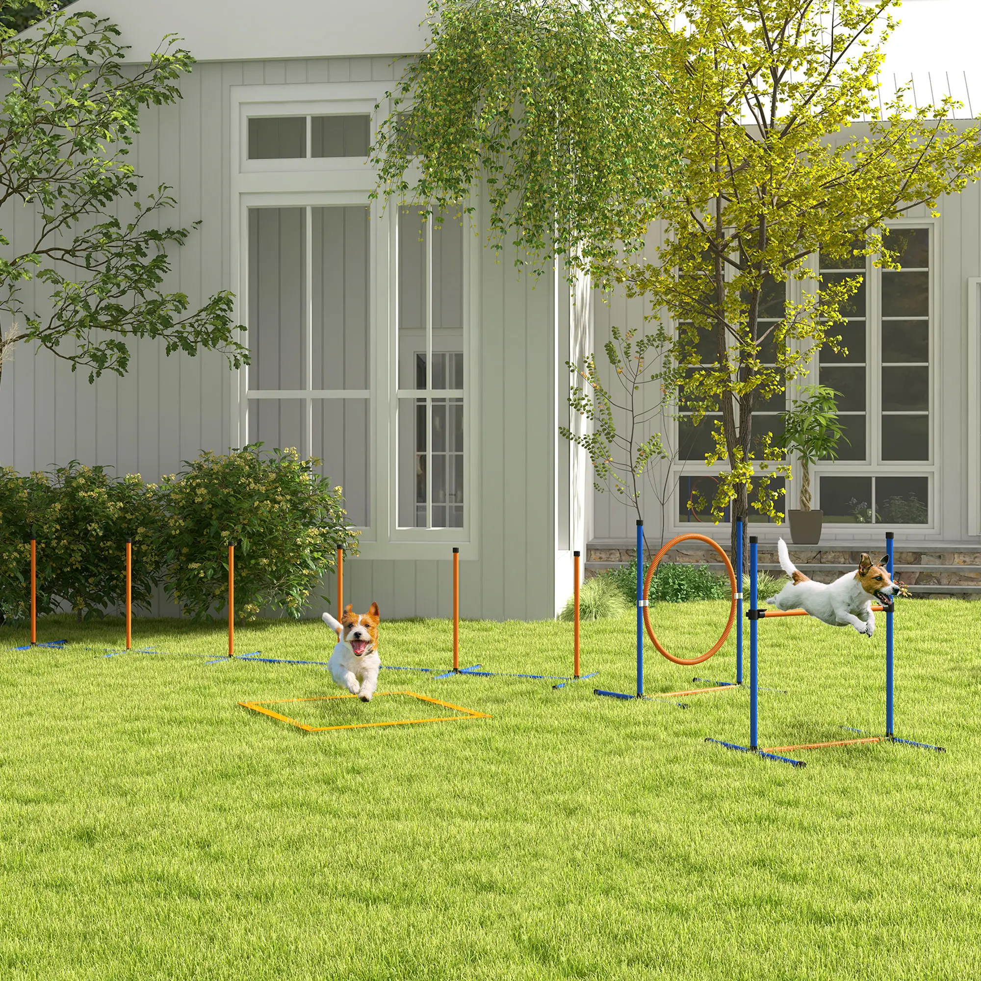 Dog Agility Training Equipment, Weave Poles, Adjustable Hurdle, Jump Ring - Image 2