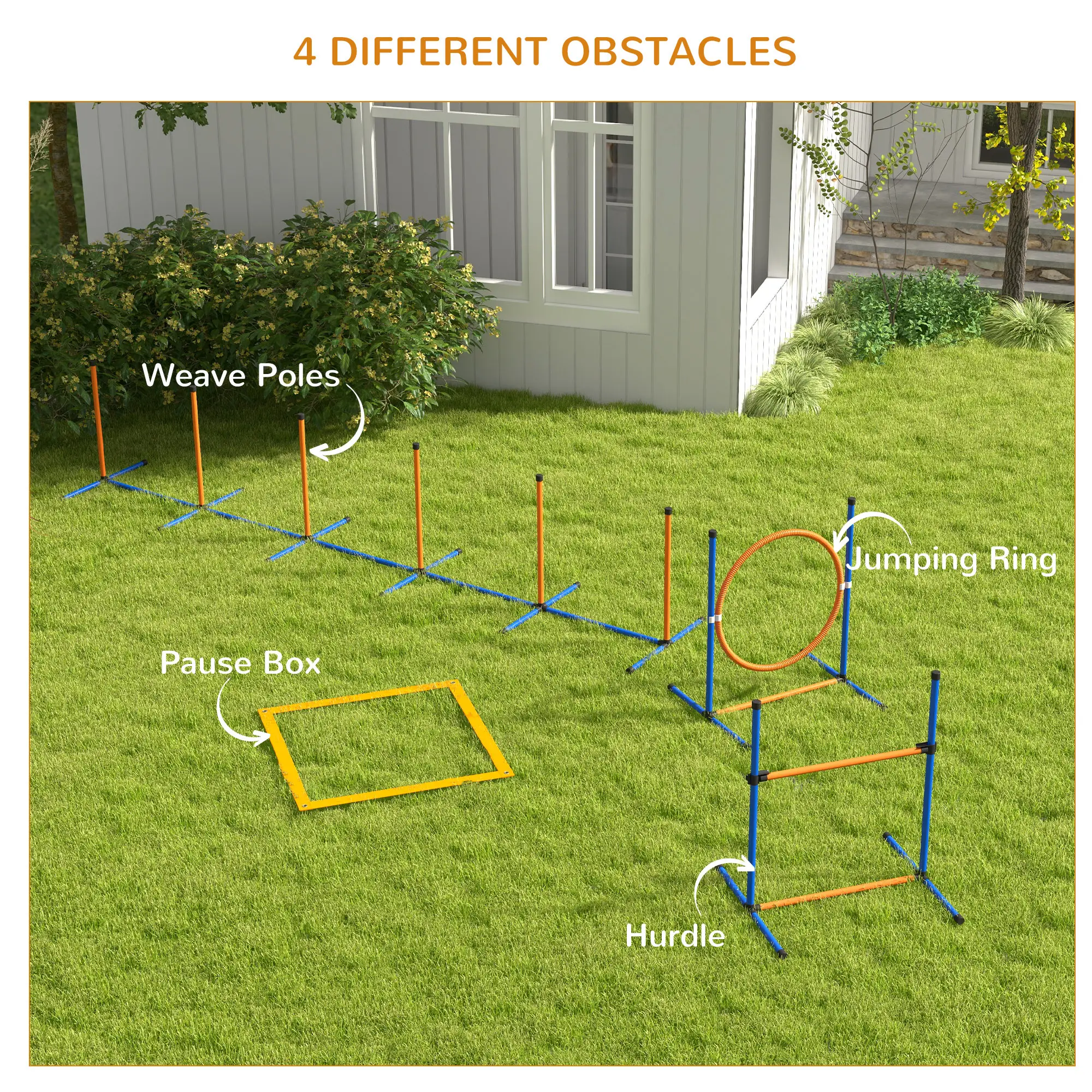 Dog Agility Training Equipment, Weave Poles, Adjustable Hurdle, Jump Ring - Image 5