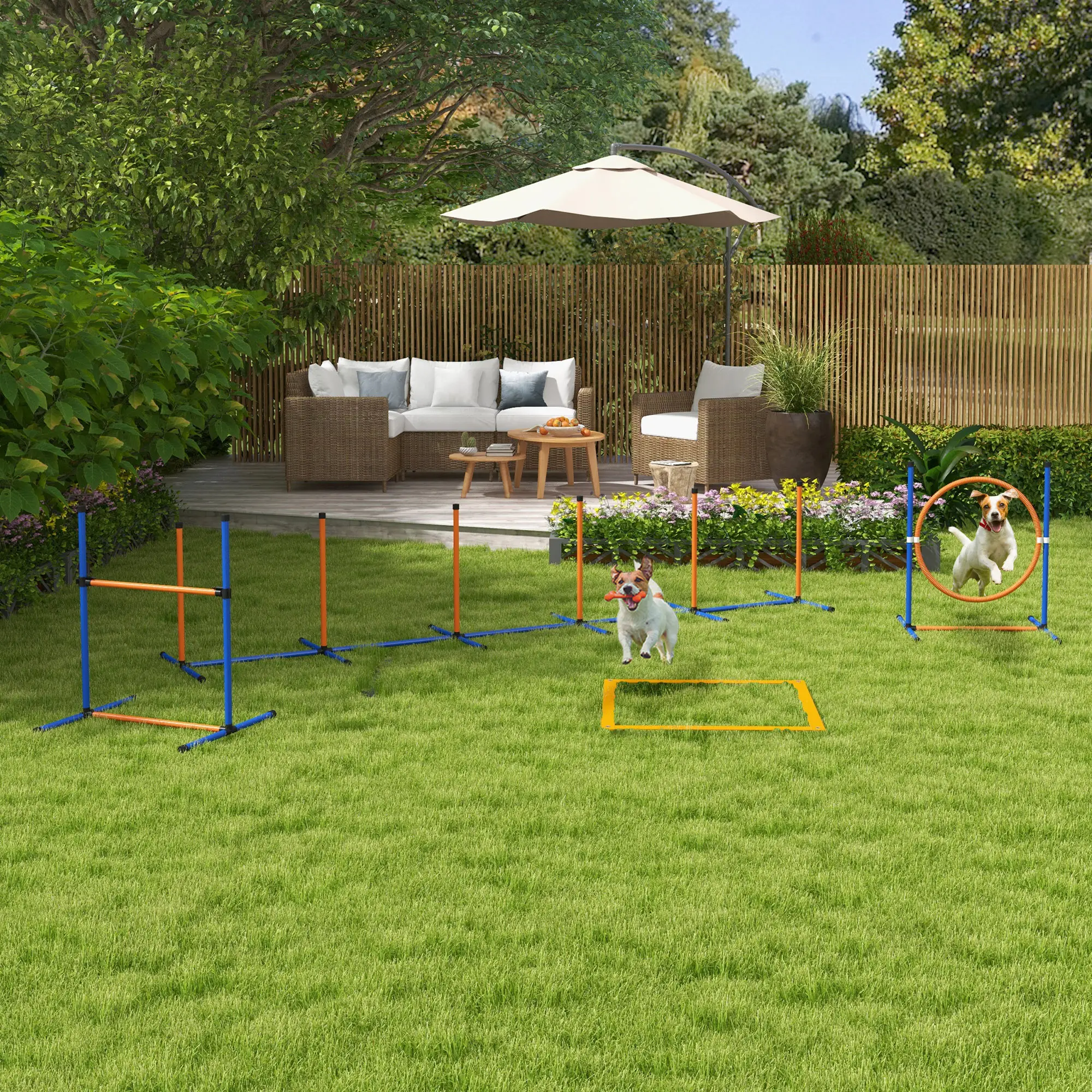 Dog Agility Training Equipment, Weave Poles, Adjustable Hurdle, Jump Ring - Image 8
