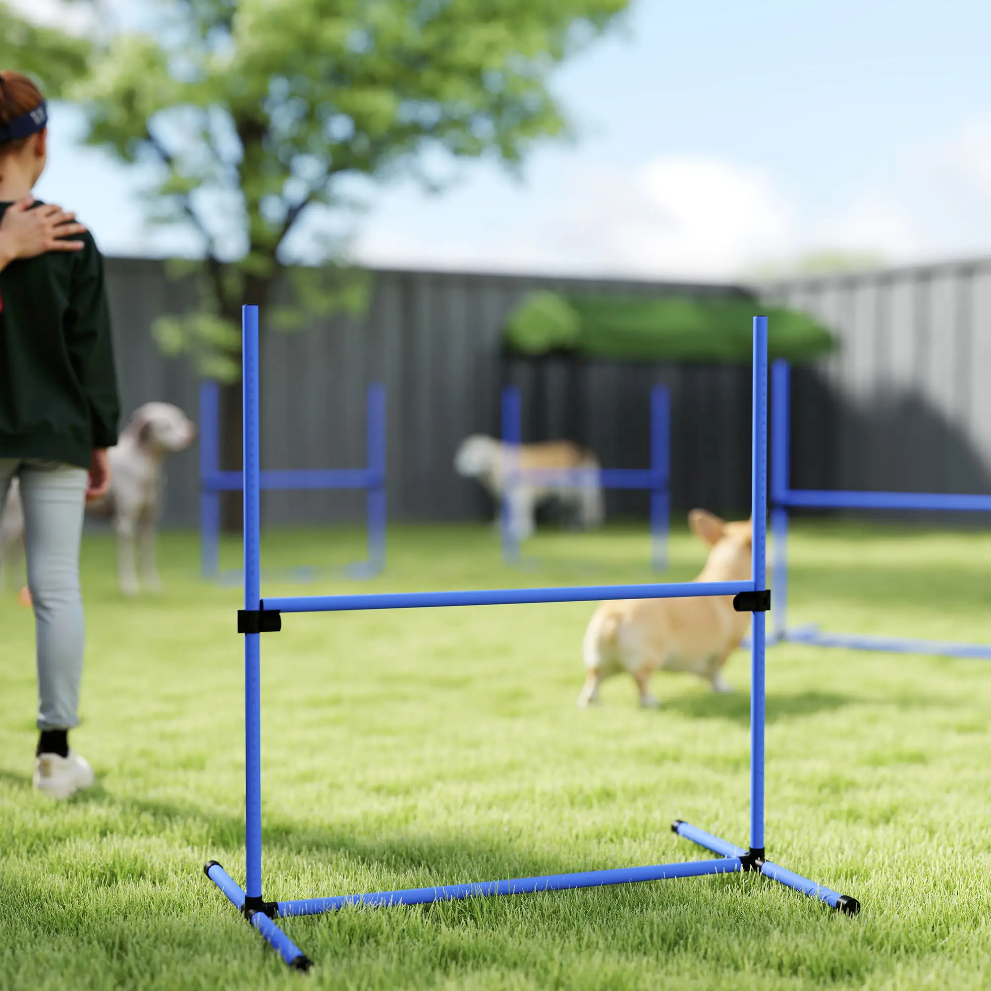 Dog Agility Training Set, 4 Adjustable Jump Bars, Exercise Kit, Blue - Image 10