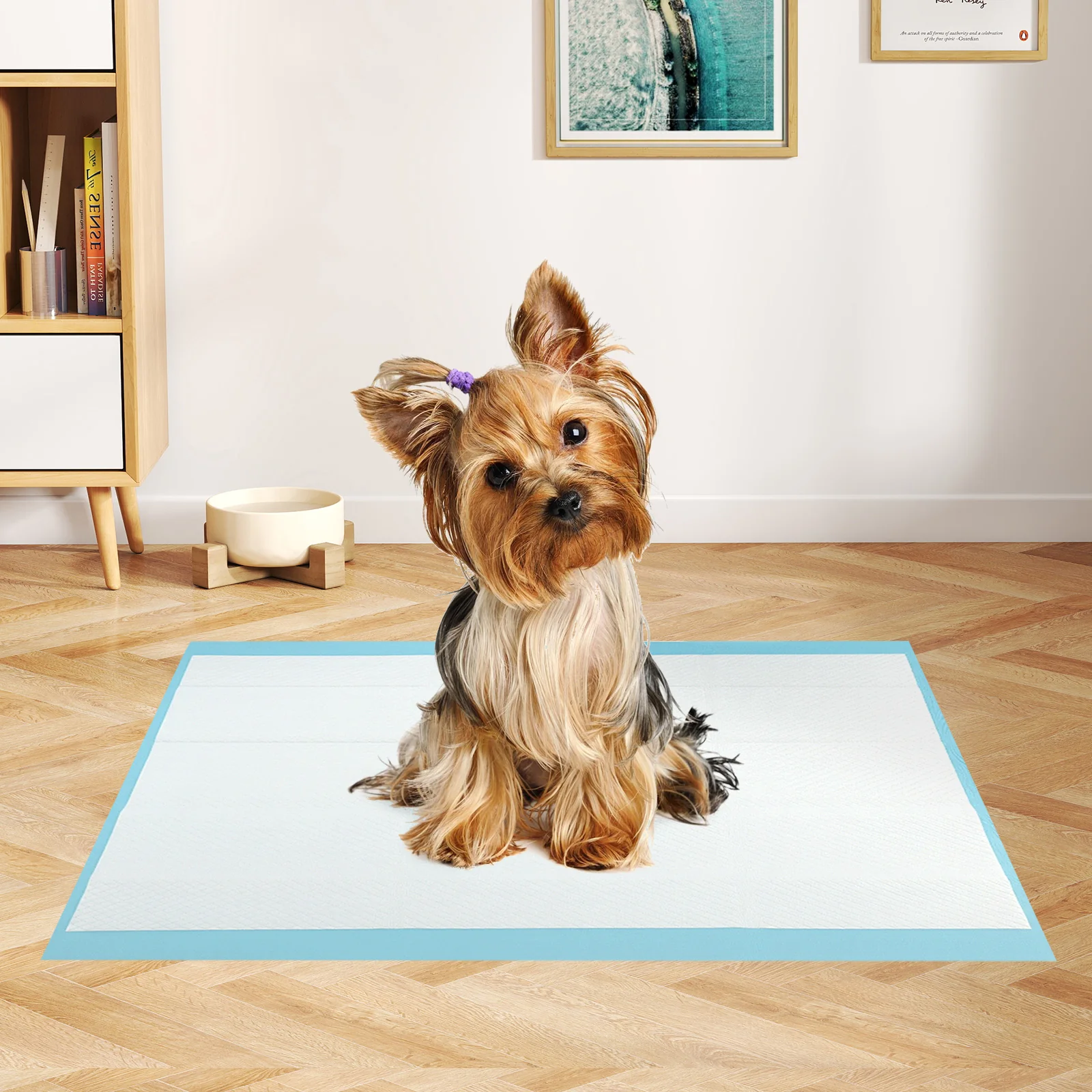 Dog Pee Pads 24" x 17", 300 Count, Potty Training, Blue - Image 2