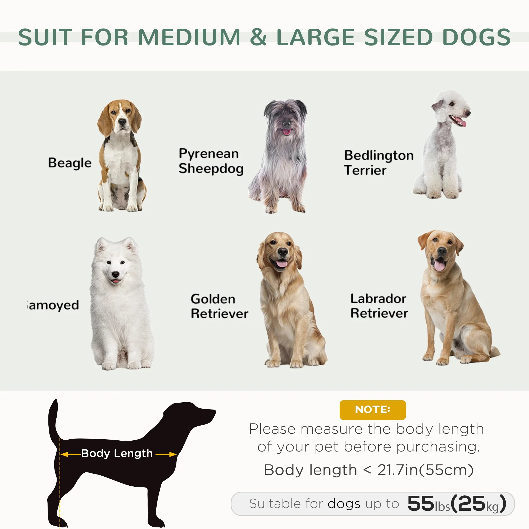 Dog Sofa Bed, Removable Pillows, Washable Cushion, Water-resistant, Medium Large, Grey - Image 4