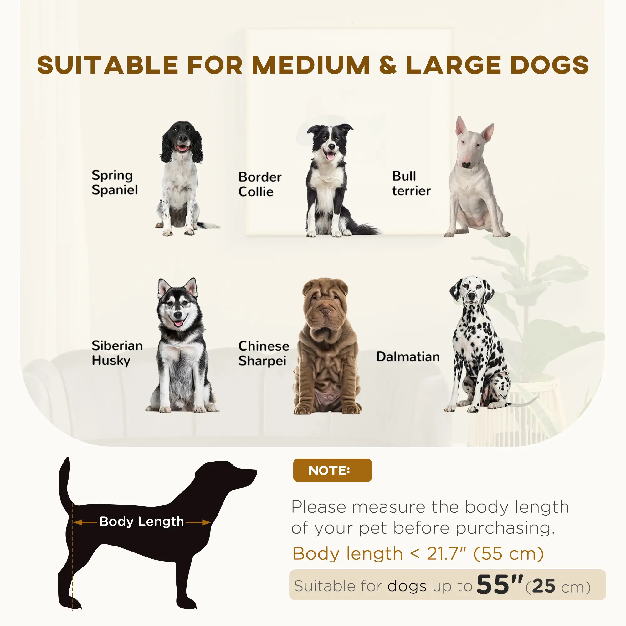 Dog Sofa, Removable Cushion, Wood Legs, Medium Large, Dark Grey - Image 4