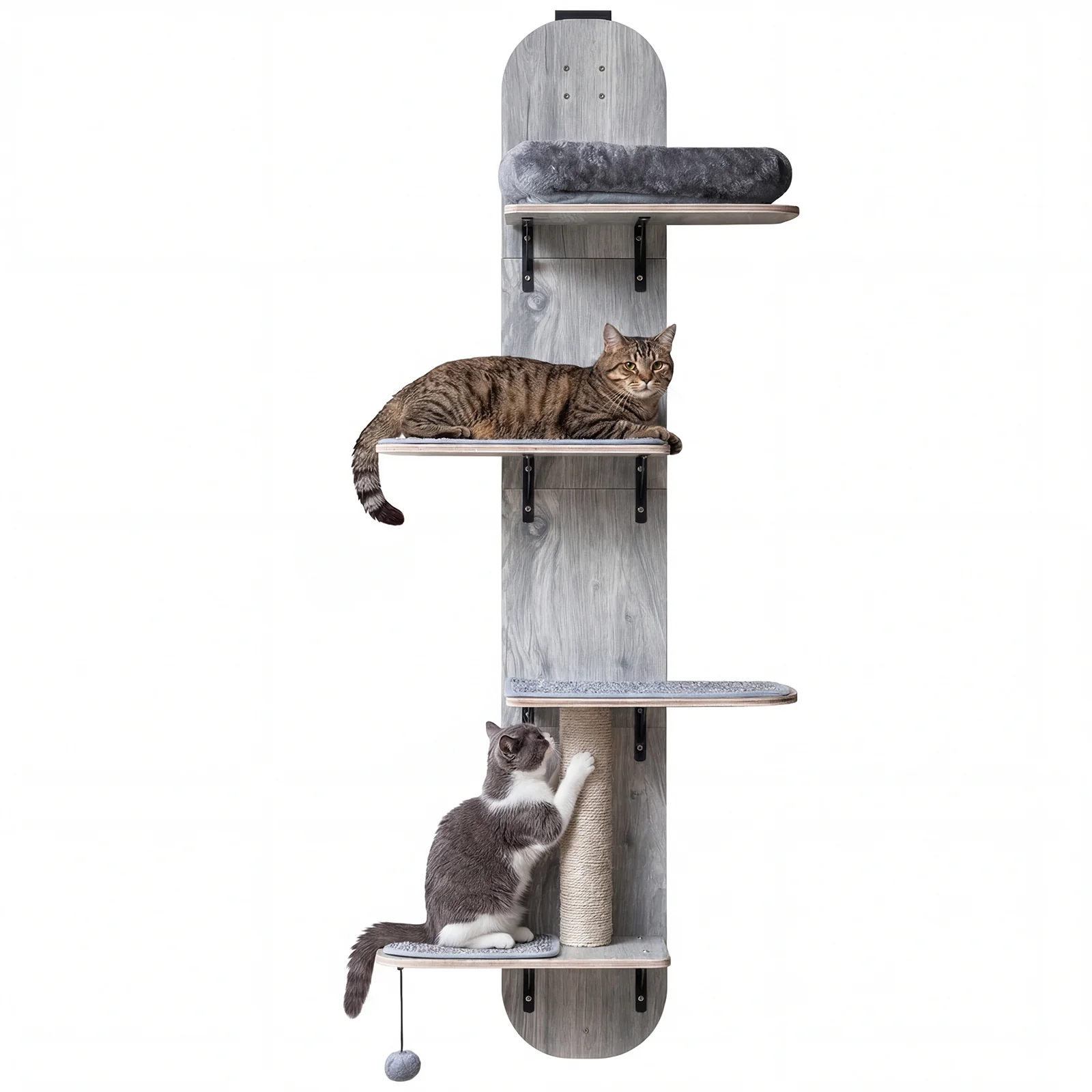 Door Hanging Cat Climber 4-level Height Adjustable with Plush Bed, Gray