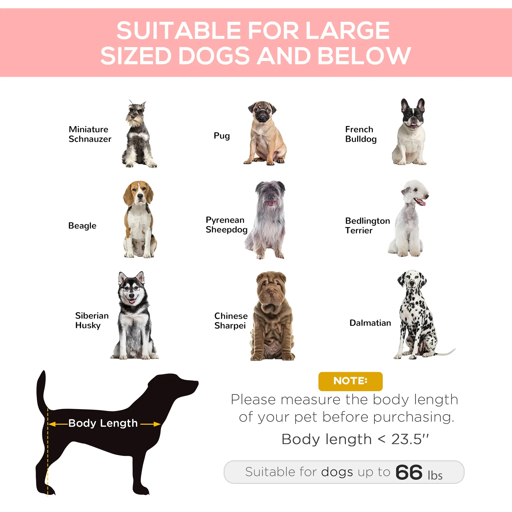 Elevated Dog Bed, Raised Cot for XL Dogs, 36" x 30" x 7", Red - Image 4