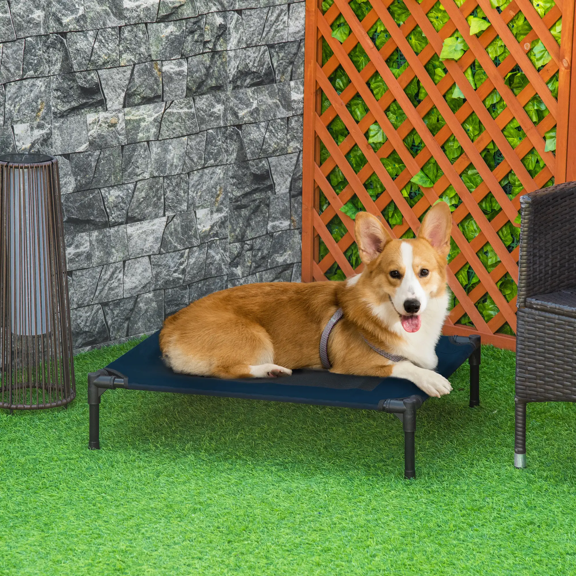 Elevated Dog Bed, Raised Cot, M Size, 30" x 24" x 7", Blue - Image 8