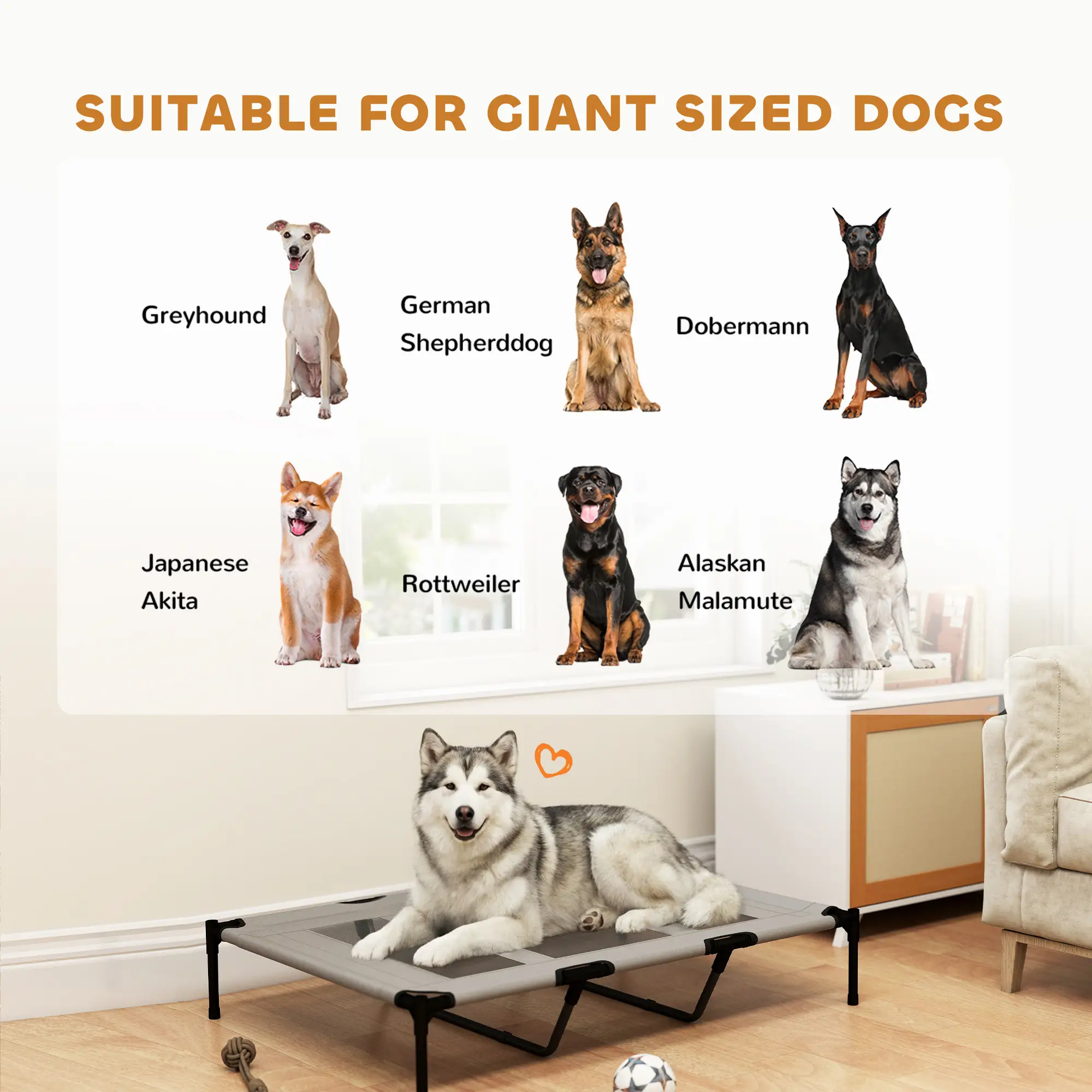 Elevated Dog Bed, XL Dog Cot, 48" x 36" x 9", Light Grey - Image 4