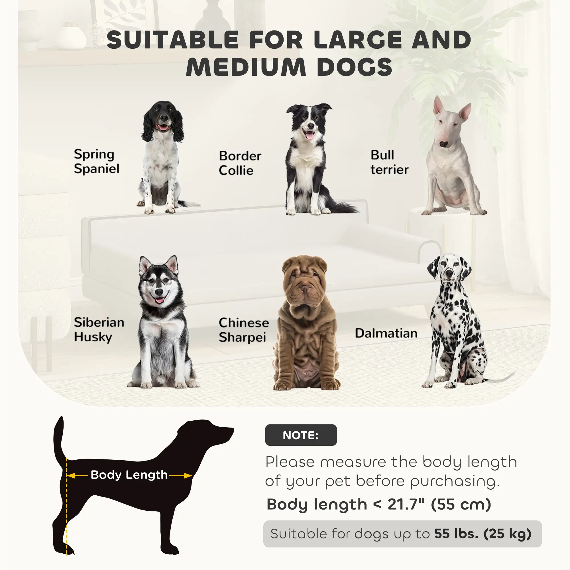 Elevated Dog Sofa Bed, Cat Couch with Cushion, Washable Cover, Wooden Legs, Medium & Large, Light Grey - Image 4