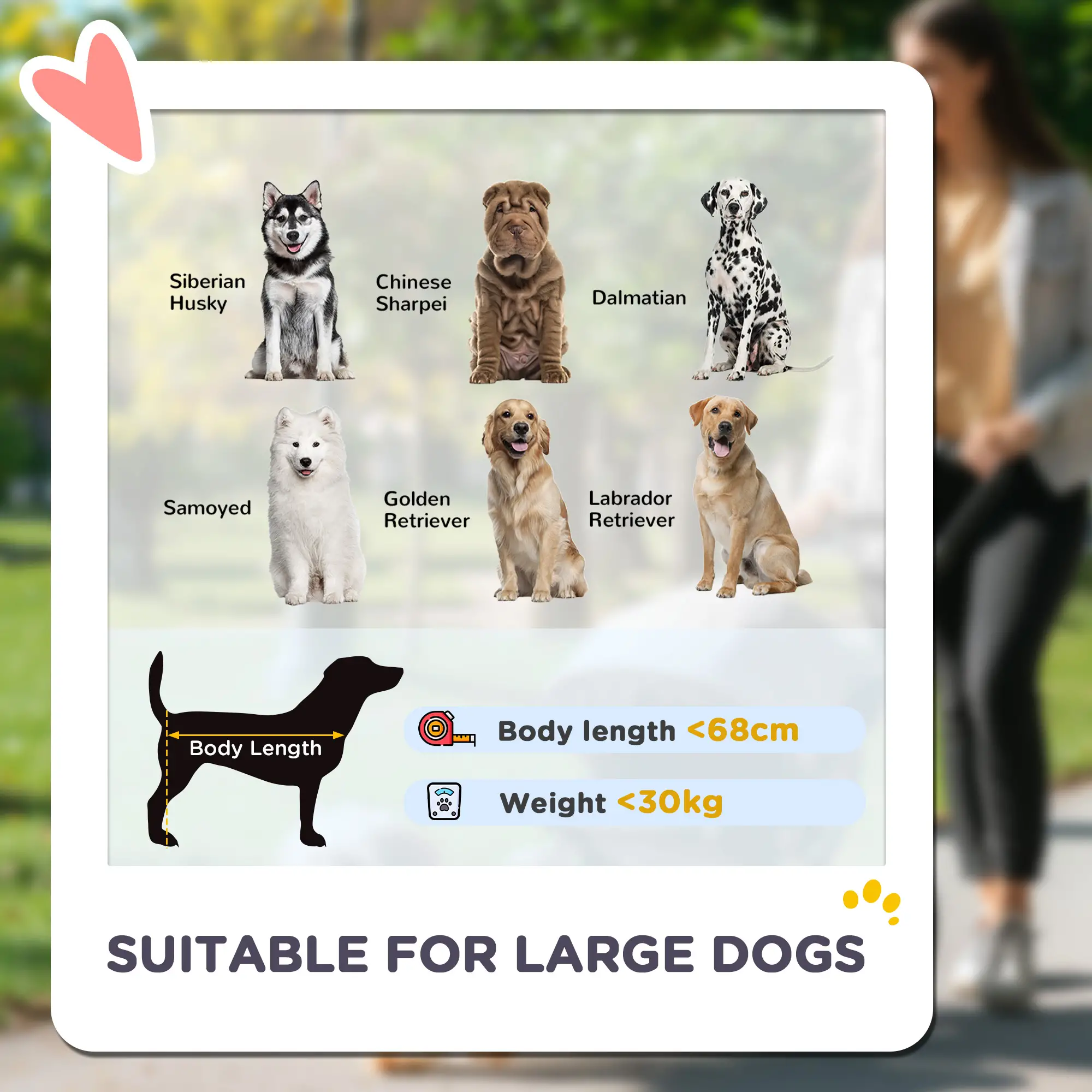 Foldable Pet Stroller, Large Dogs, Four Big Wheels, Dark Green - Image 4