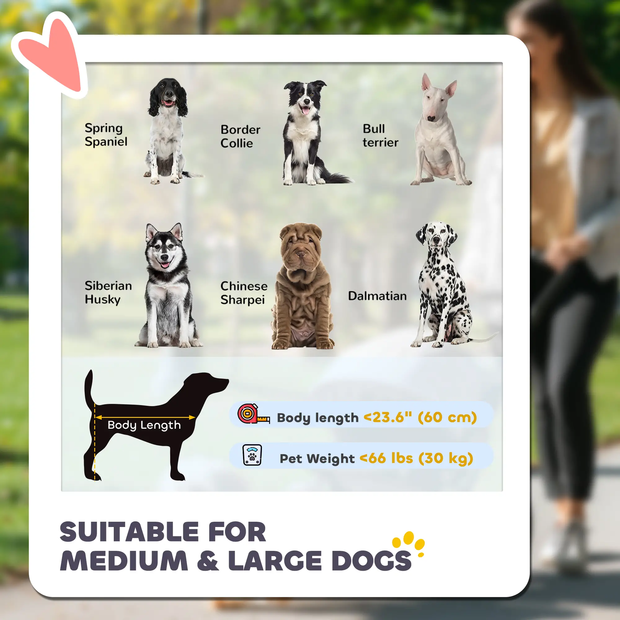 Foldable Pet Stroller, Universal Wheels, Shock Absorber, Large & Medium Dogs, Dark Grey - Image 4