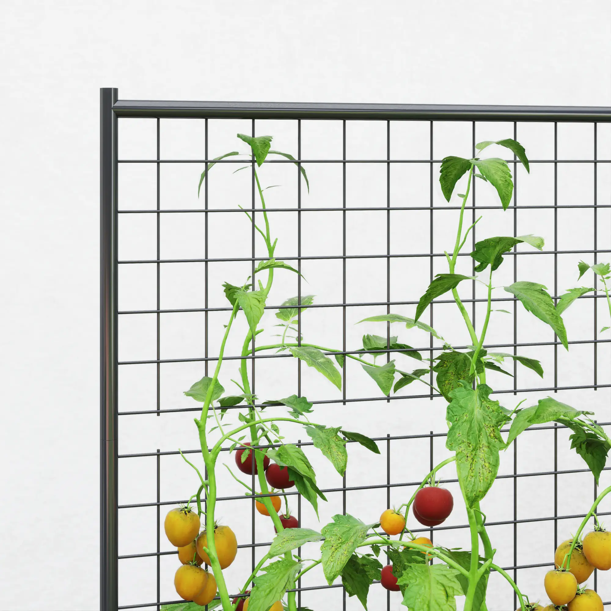 Galvanized Raised Garden Bed, Trellis for Climbing Plants, Dark Grey - Image 9