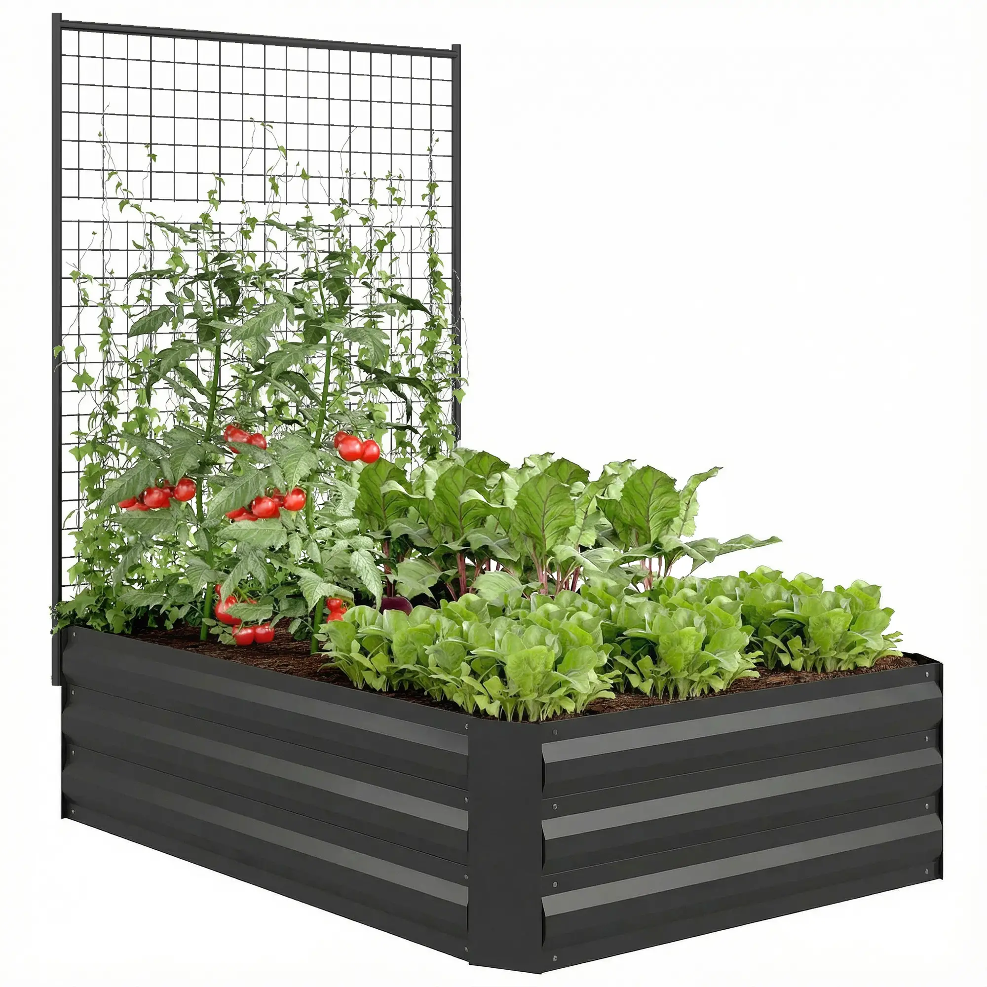 Galvanized Raised Garden Bed With Trellis, Open Bottom Planter Box, Black - Image 10
