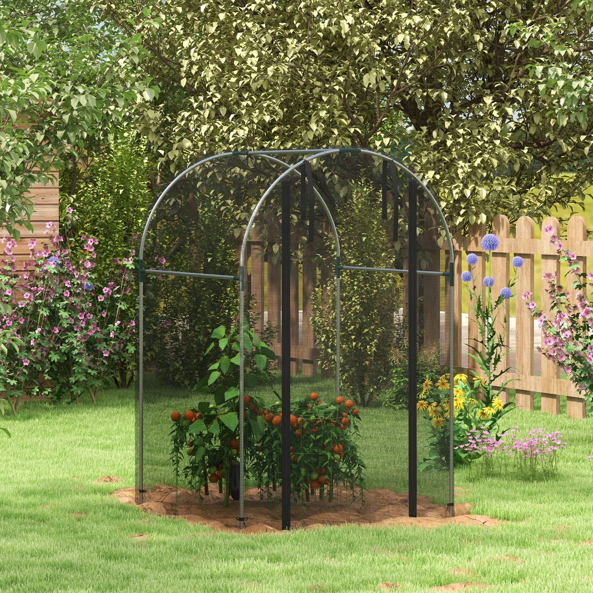Galvanized Steel Crop Cage, Plant Protection Tent, 4' x 4', Black - Image 2