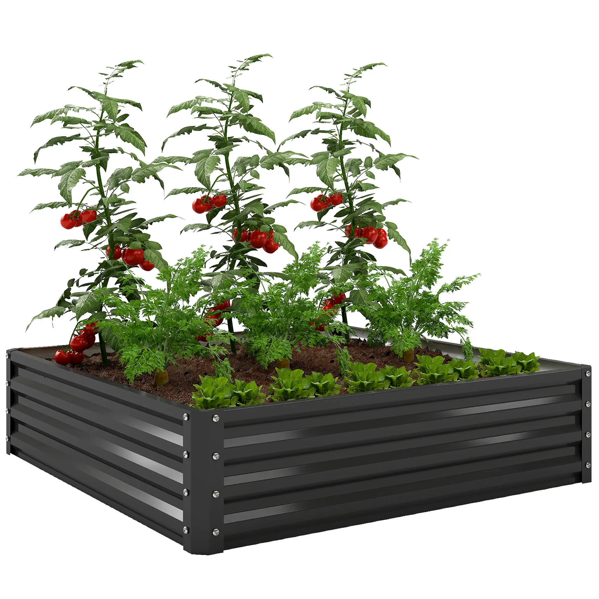 Galvanized Steel Raised Garden Bed, Black - Image 11