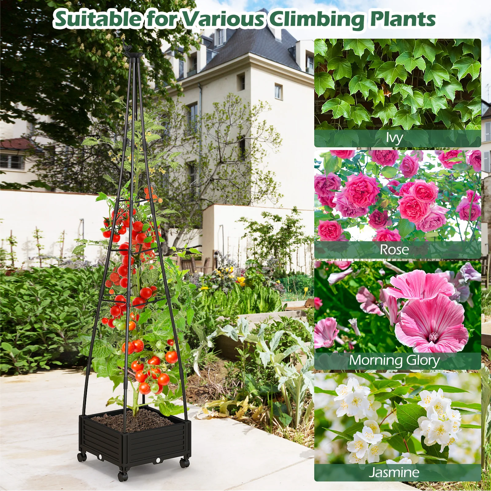 Garden Obelisk Trellis, Self-Drainage System, Climbing Plants, Black - Image 9