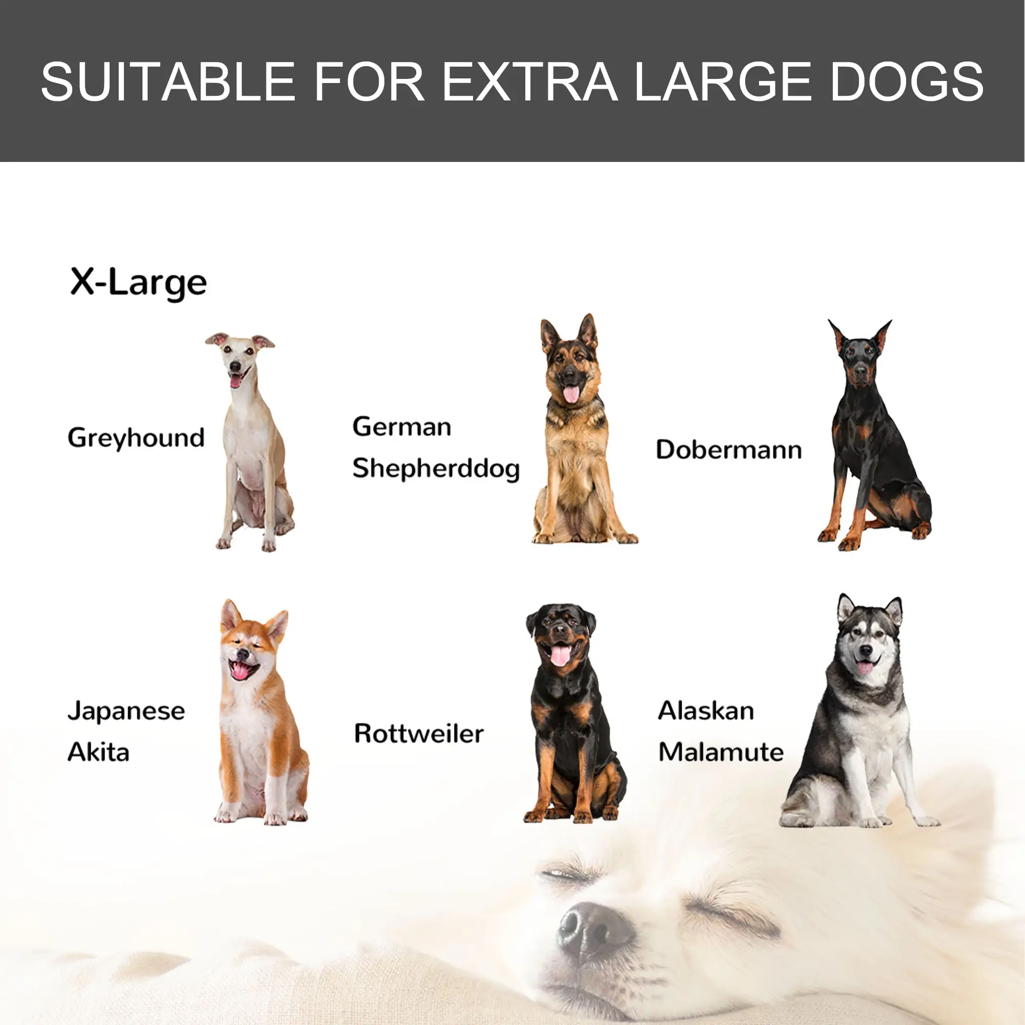 Heavy Duty Folding Dog Crate, Extra Large, 49" x 30" x 32" - Image 9