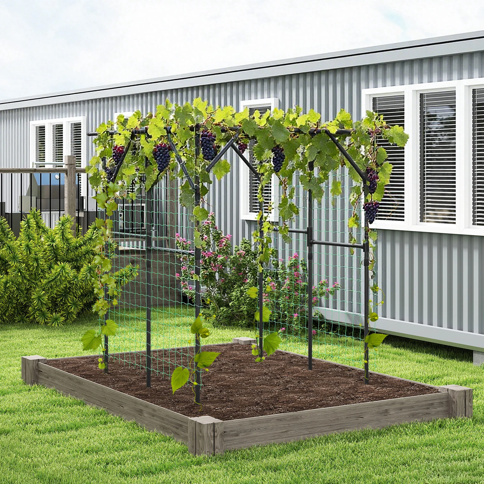 Large Garden Arch Trellis for Climbing Plants Outdoor Grape Vine Support, Black - Image 3