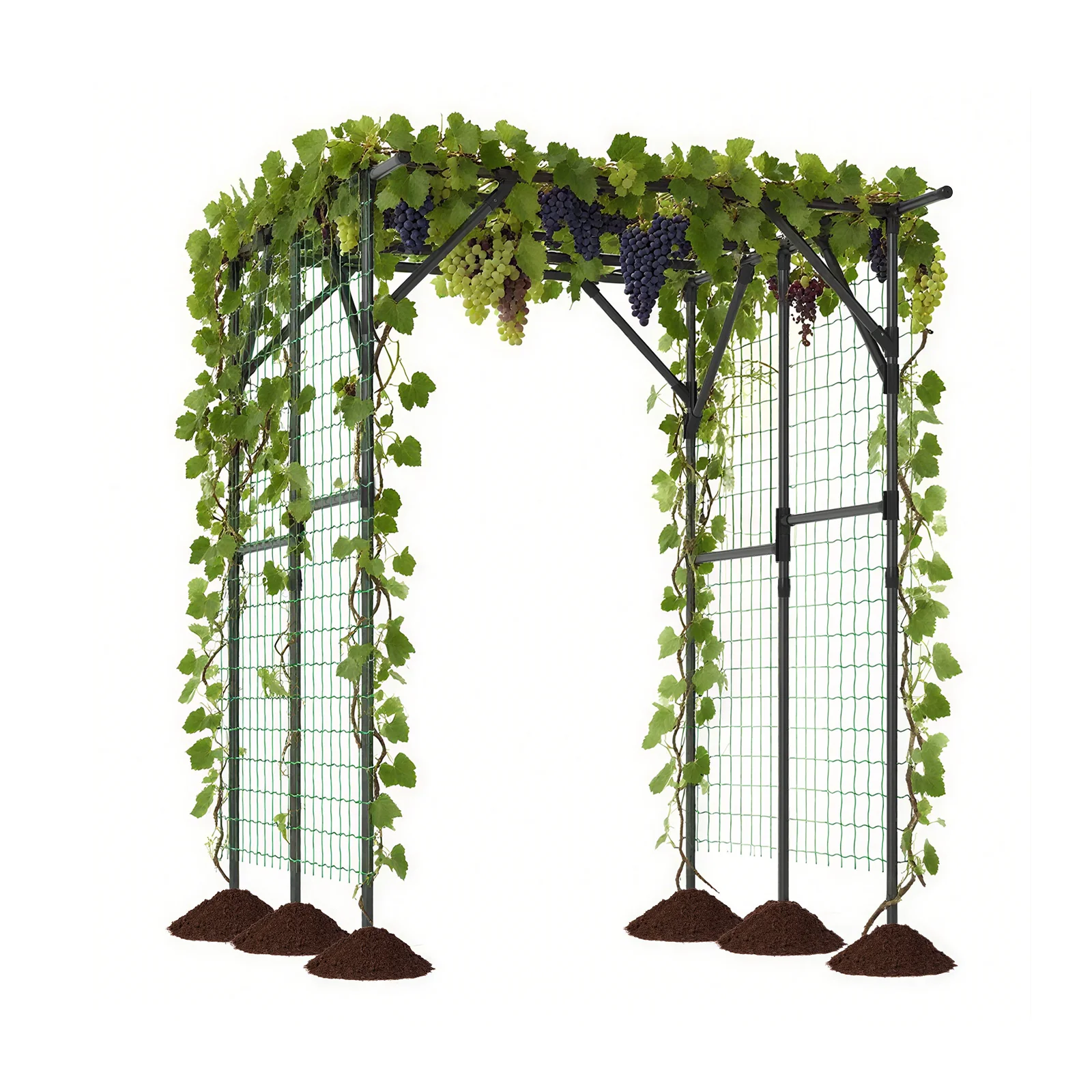 Large Garden Arch Trellis for Climbing Plants Outdoor Grape Vine Support, Black - Image 4
