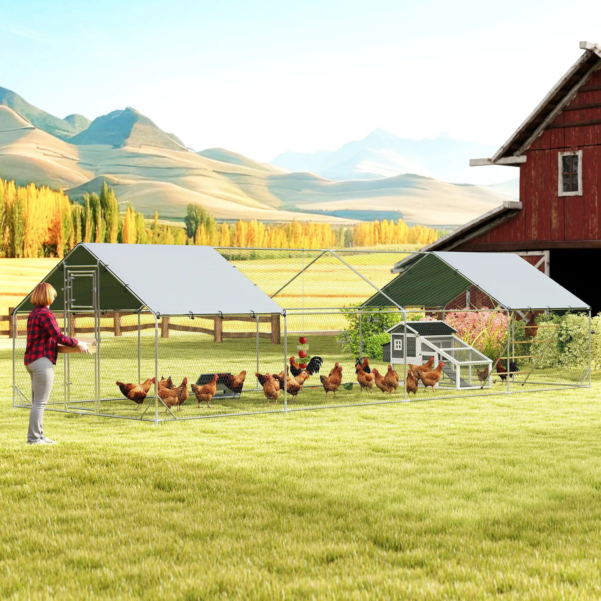 Large Metal Chicken Run With Waterproof Cover, Feeding Door, Perch - Image 2