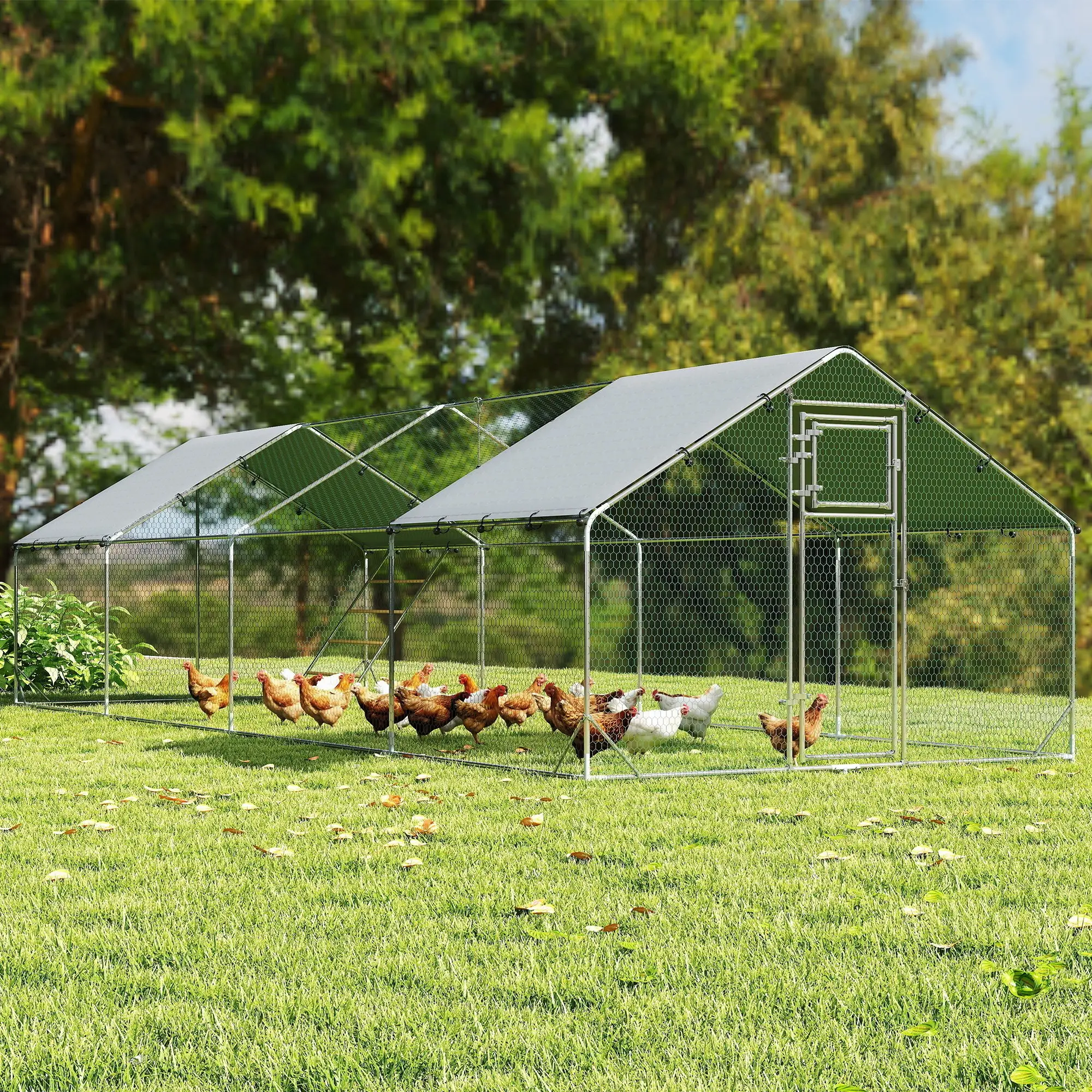 Large Metal Chicken Run With Waterproof Cover, Feeding Door, Perch - Image 8