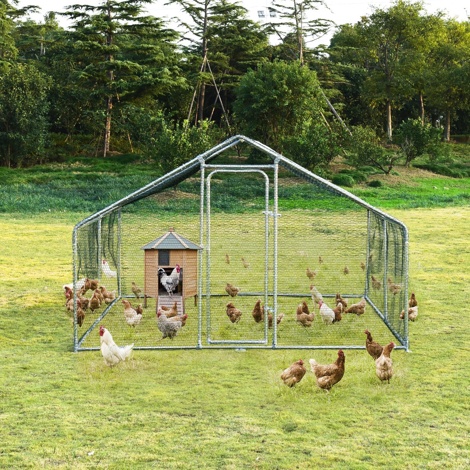 Large Walk In Shade Cage Chicken Coop, M, Silver - Image 2