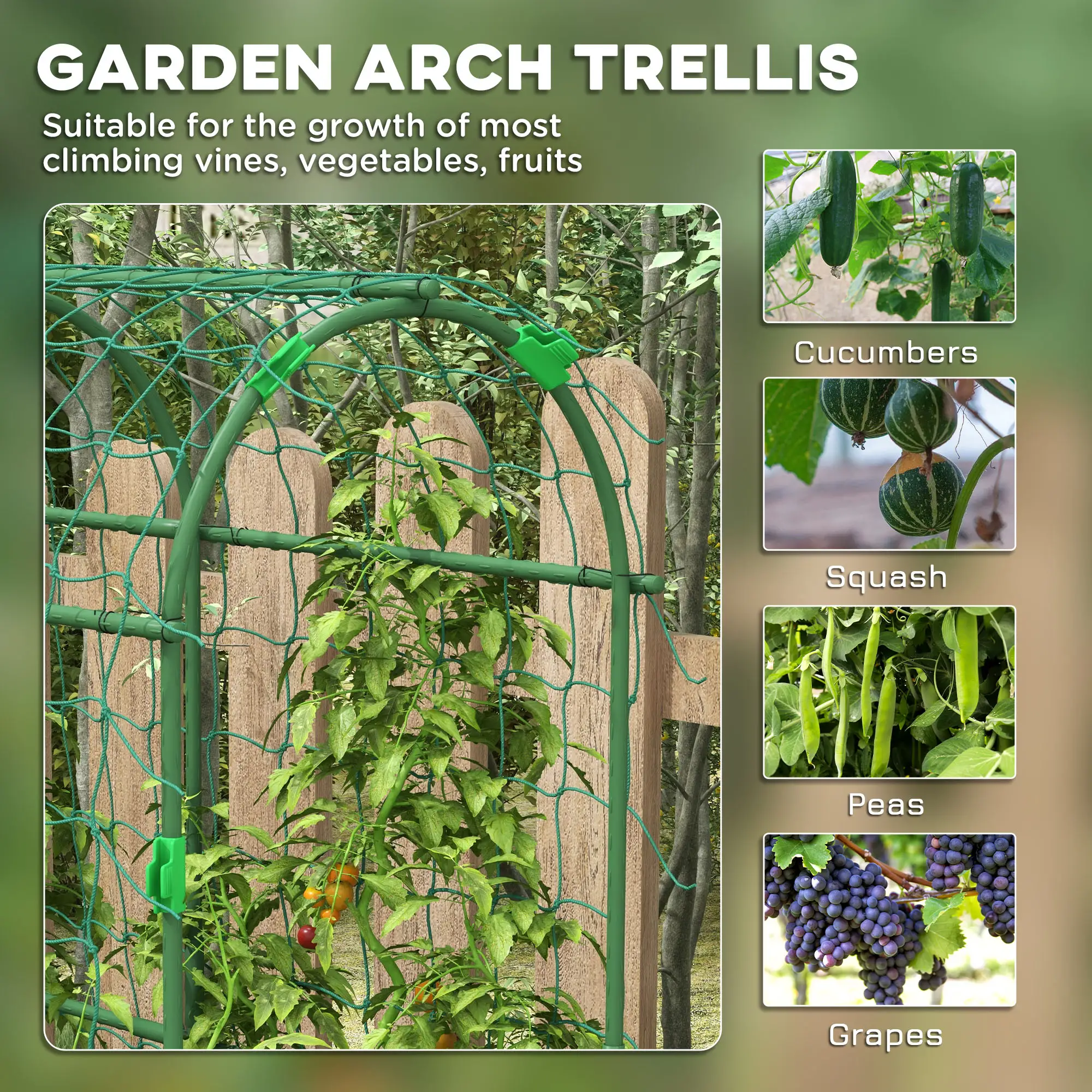Metal Garden Trellis, A-Frame Arch for Climbing Plants, 17" x 72" x 72" - Image 4