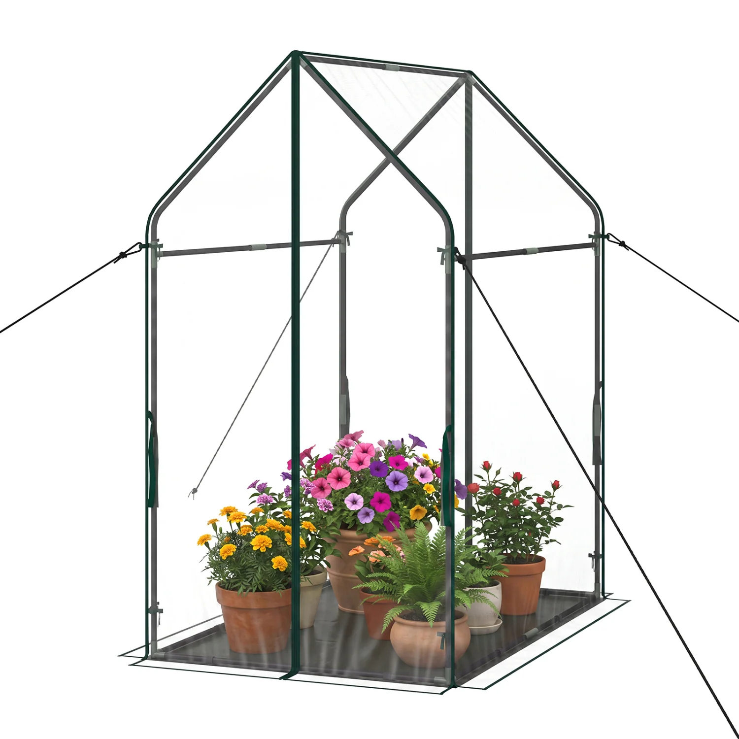 Mini Green House Metal Frame with Waterproof Bottom Mat and Wind Ropes-XL, Transparent - Image 4