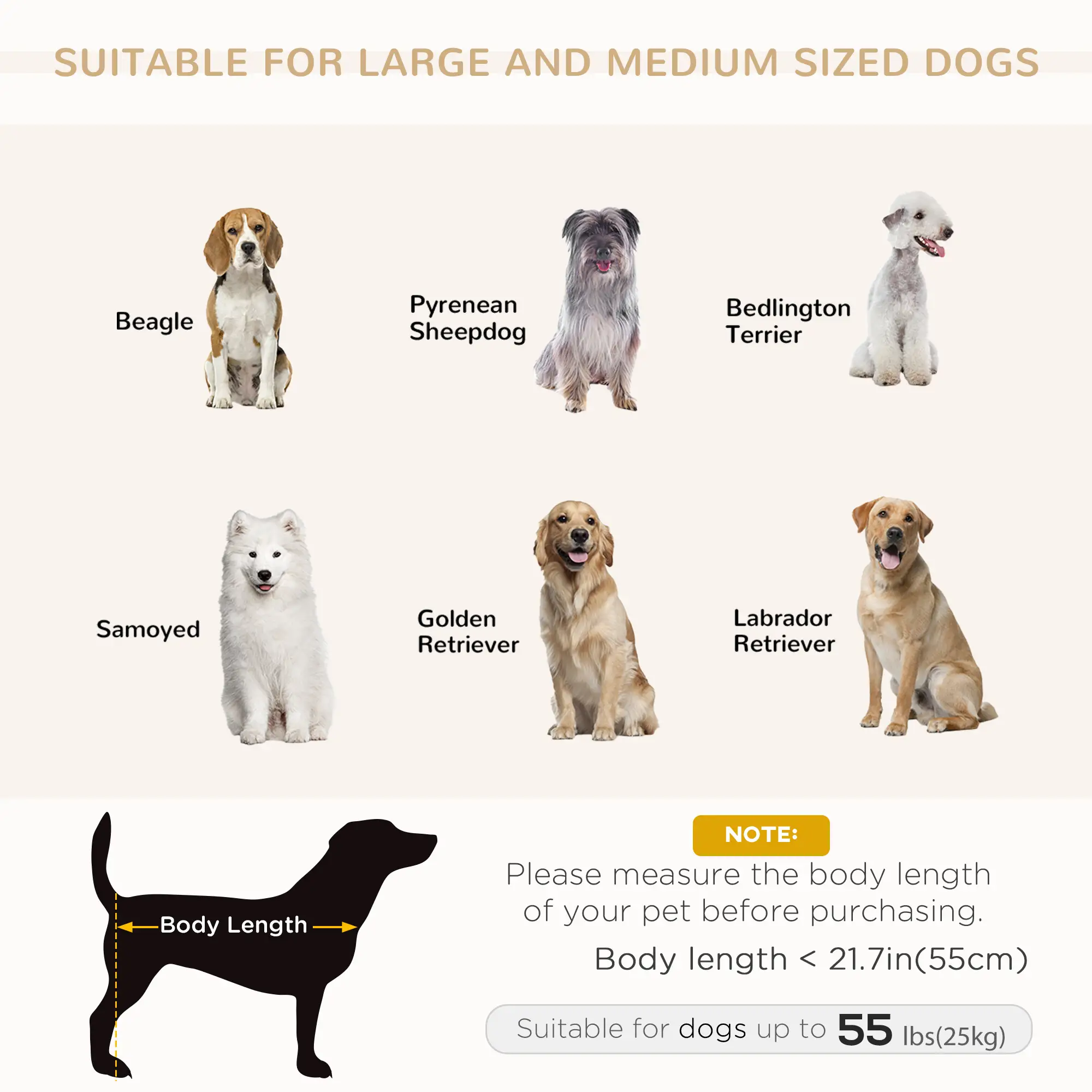 Modern Pet Sofa, Medium Large Dog Bed, Removable Cushion, Dark Grey - Image 7