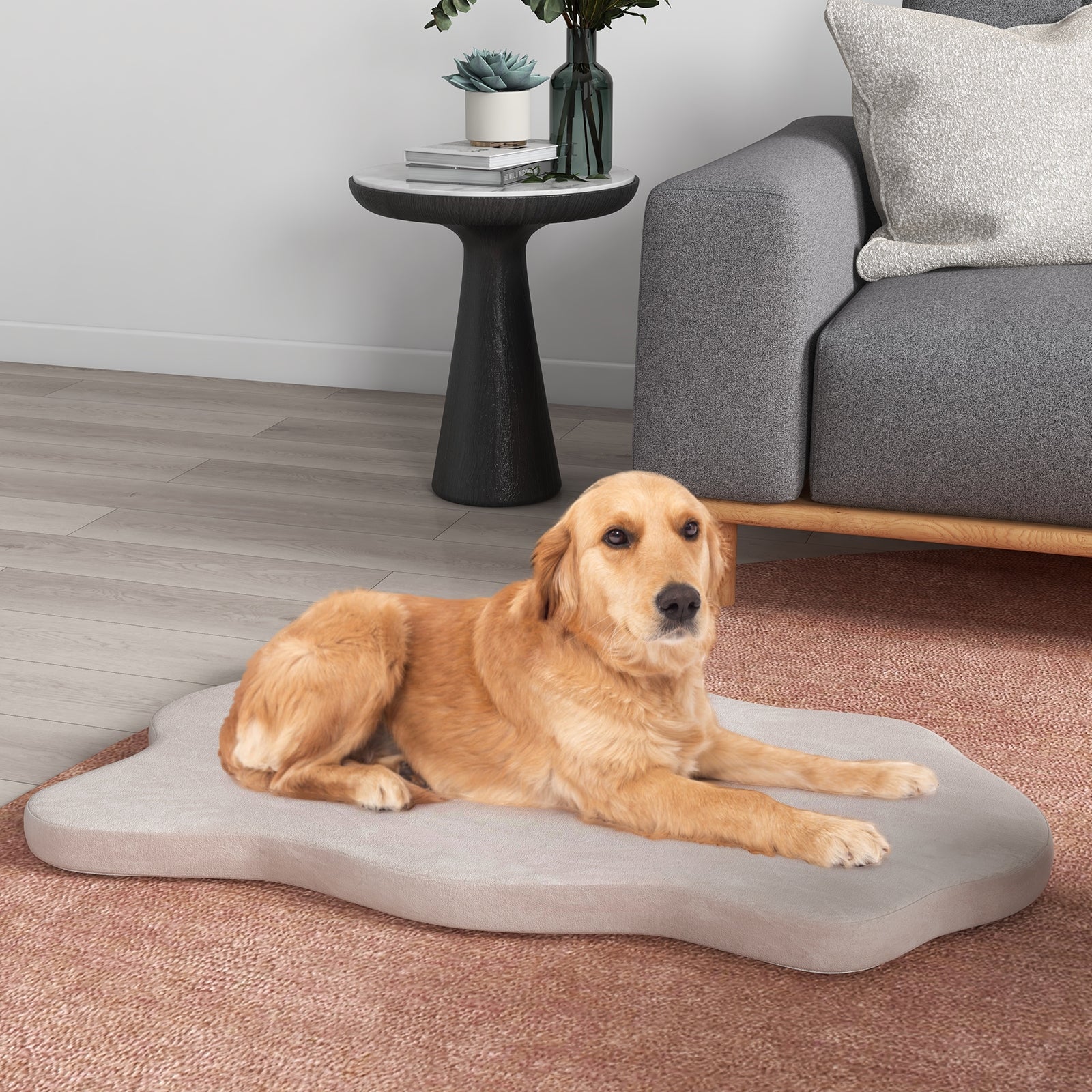 Orthopedic Dog Bed, Memory Foam, Large, Beige - Image 2