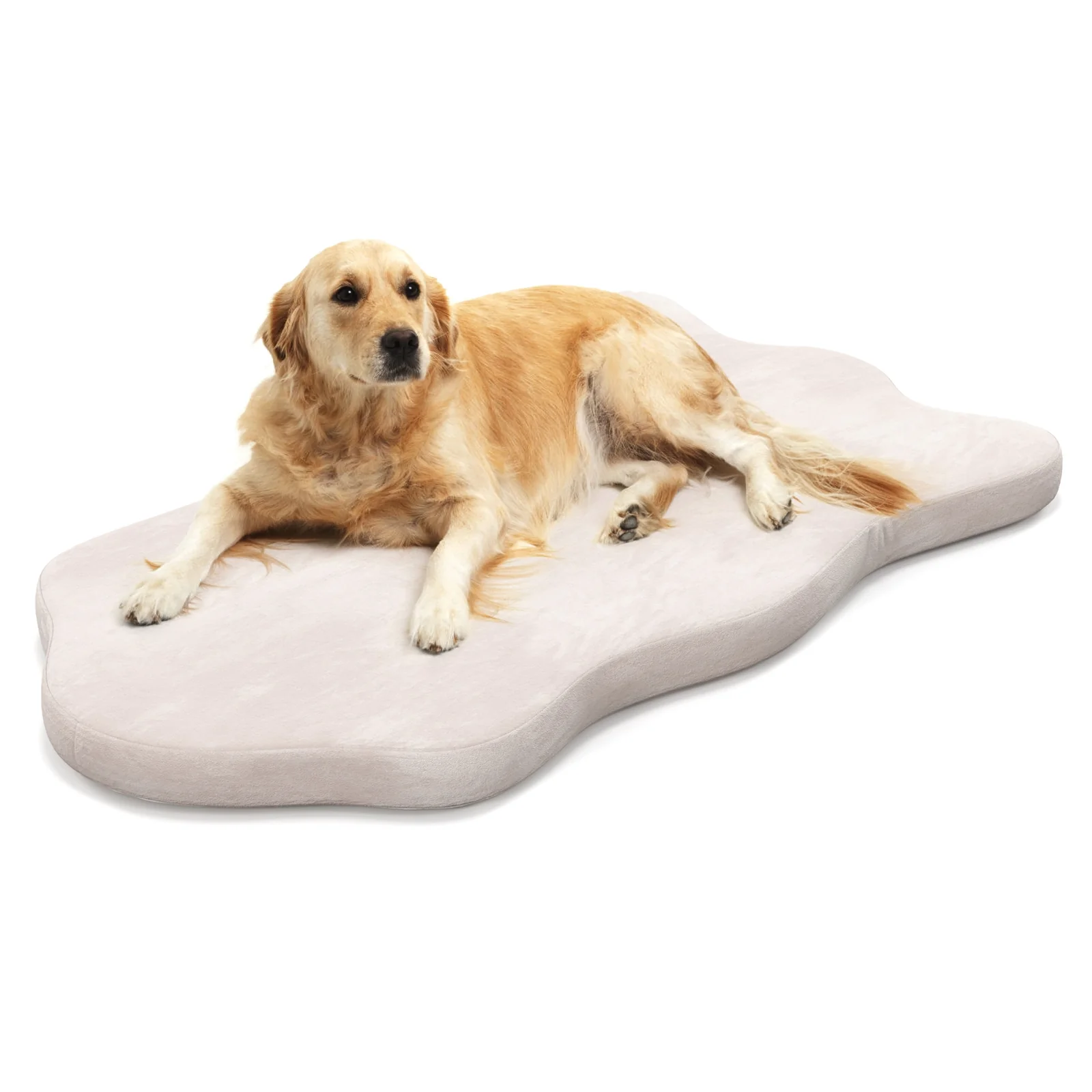 Orthopedic Dog Bed, Memory Foam, Large, Beige - Image 4