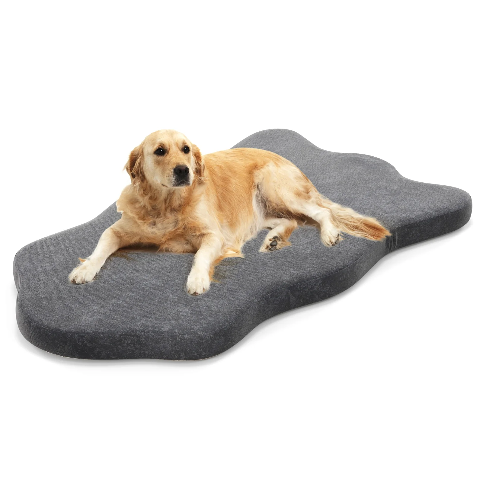 Orthopedic Dog Bed, Memory Foam, Large, Gray