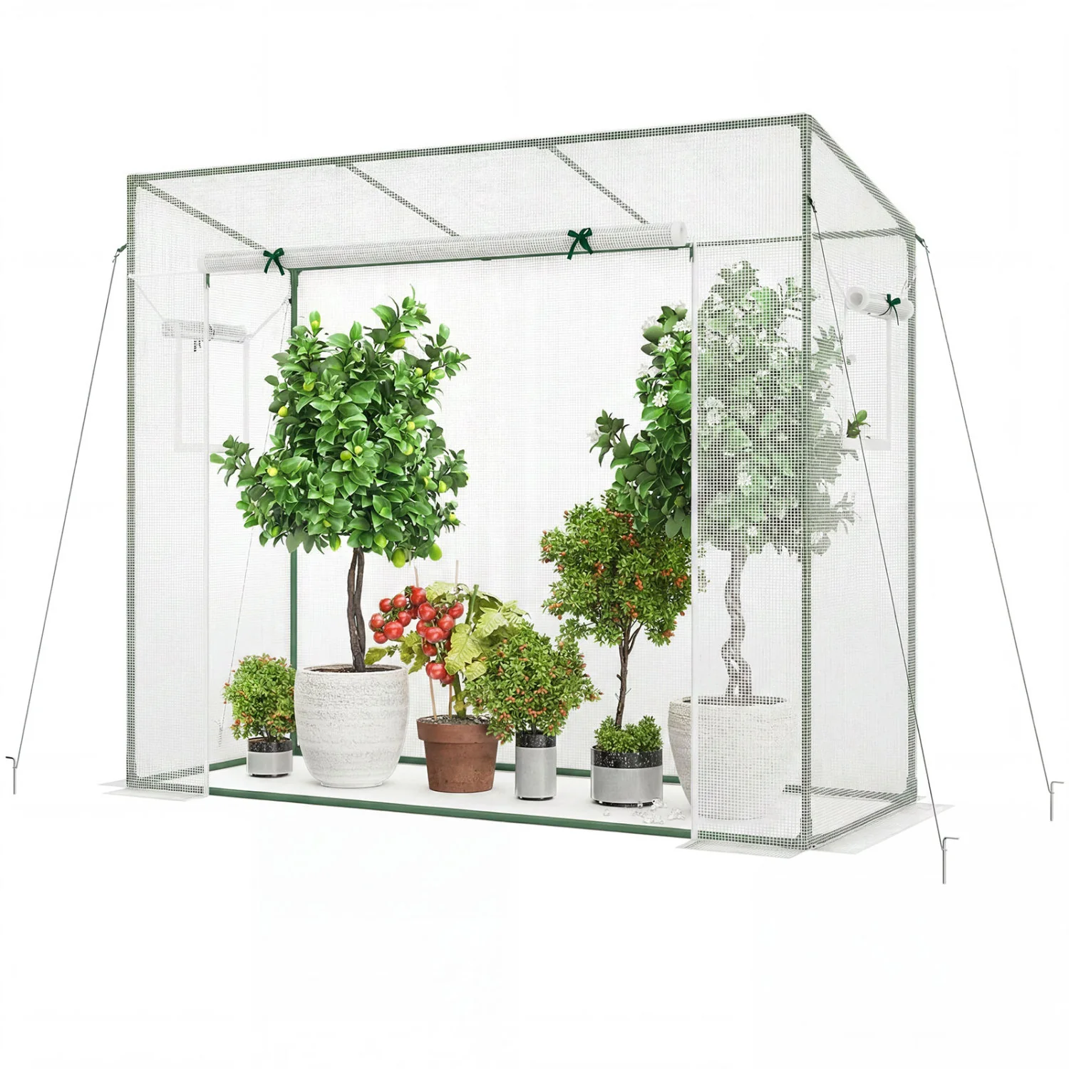 Outdoor Walk-in Greenhouse, PE Cover, Roll-up Zipper Door, White - Image 2