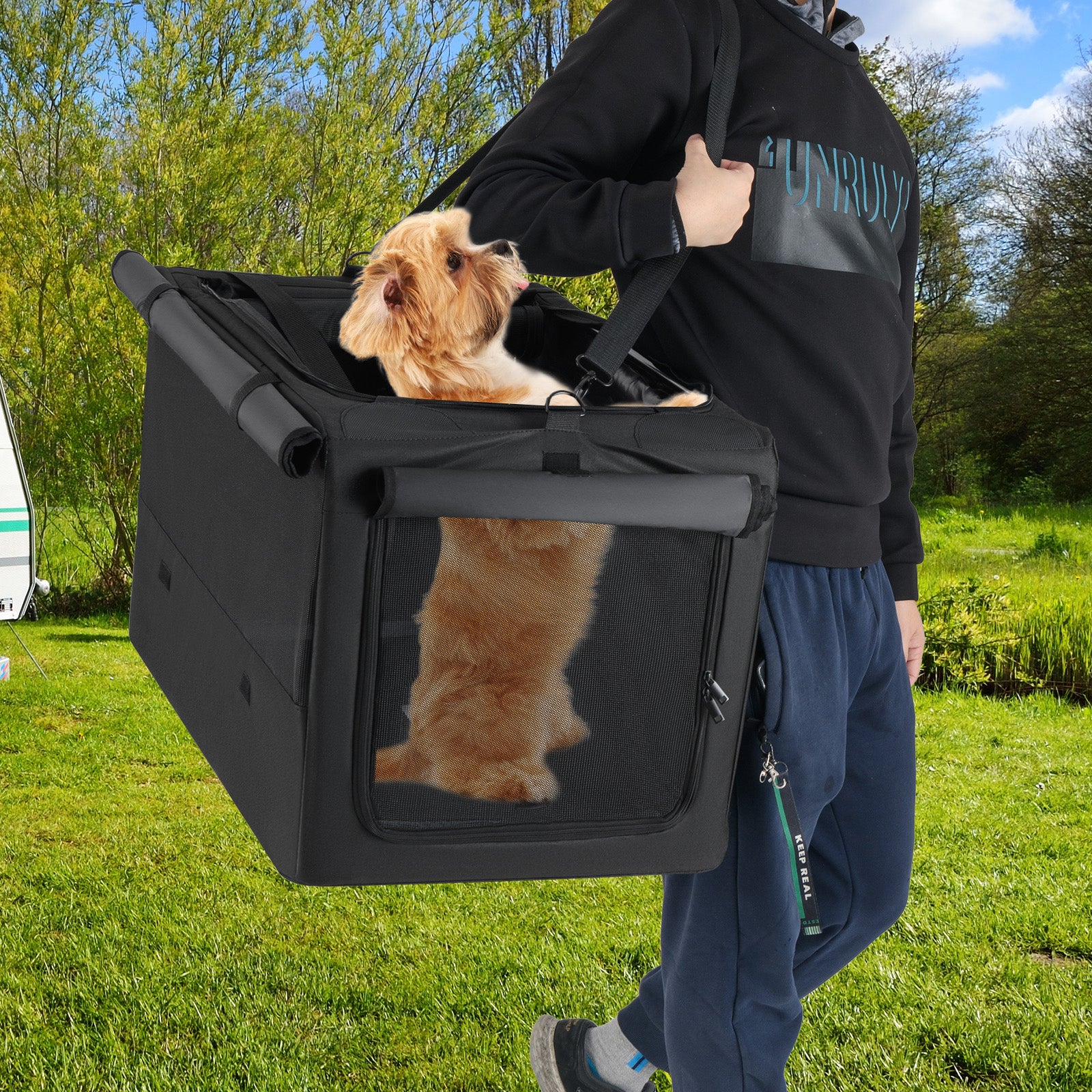 Portable Foldable Pet Carrier Bag, 2 Openings, Comfy Cushion, M, Black - Image 10
