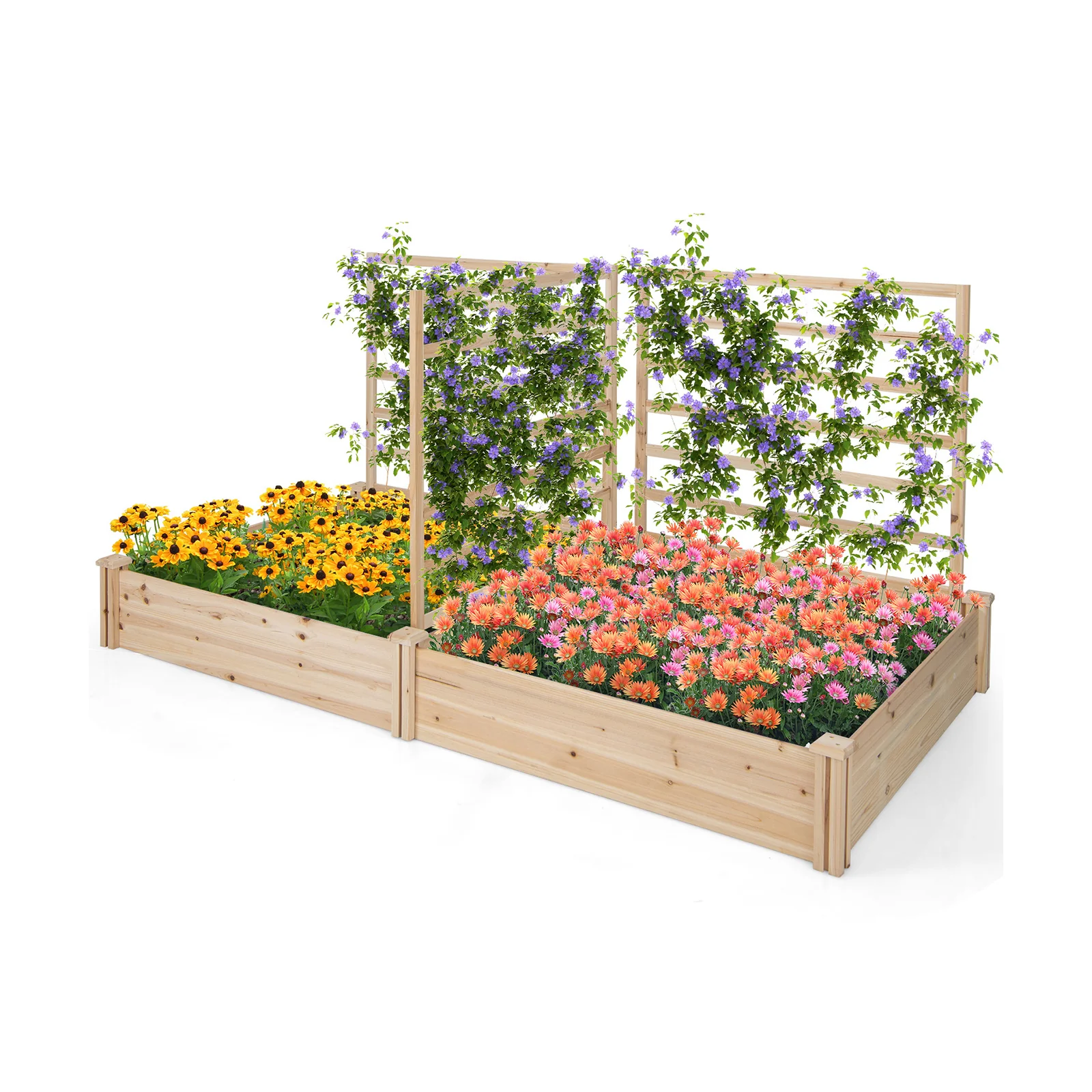 Raised Garden Bed, 2 Planter Boxes, 3 Trellis, Natural - Image 4