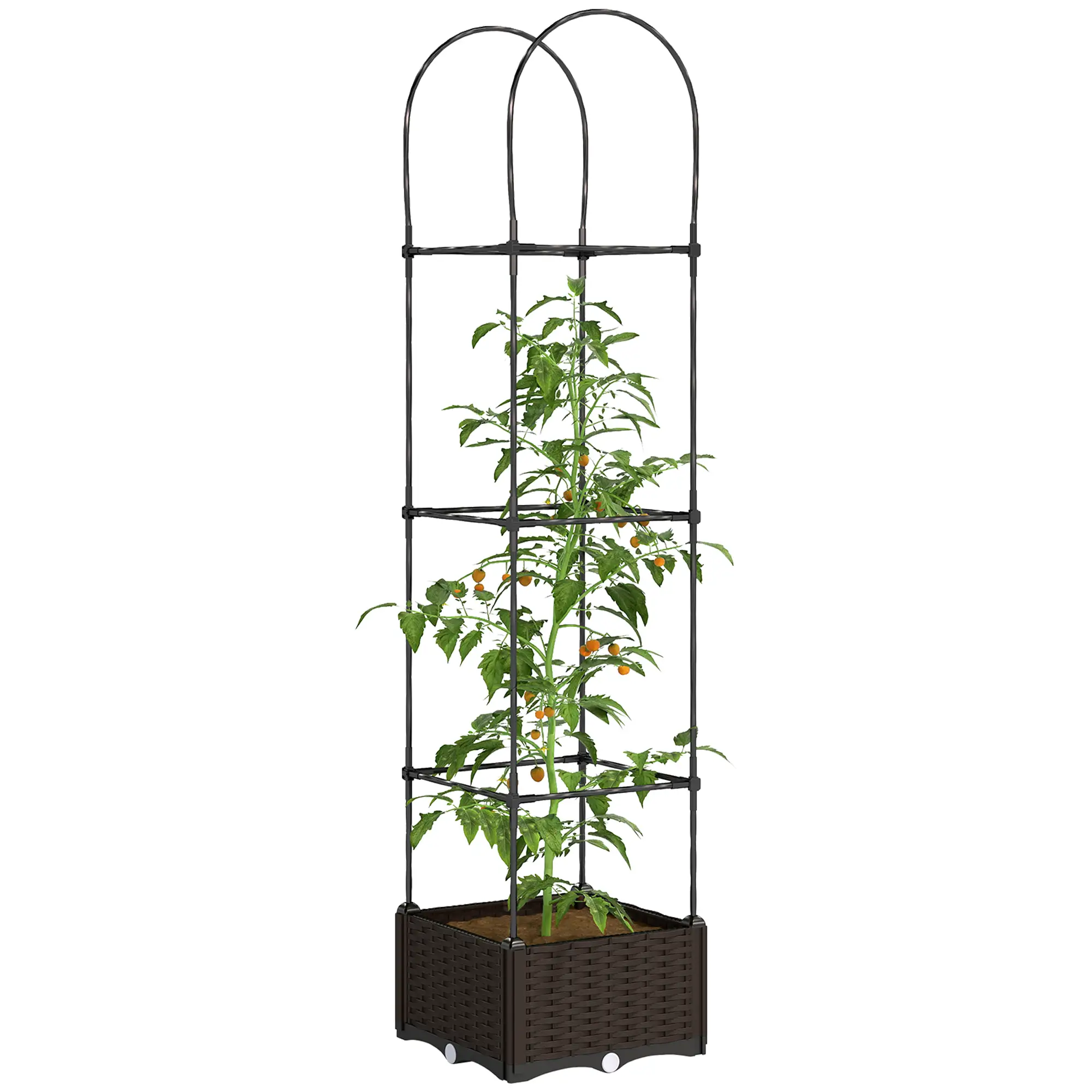 Raised Garden Bed, Tomato Planter Cage, Plastic Box with Trellis, Self-Watering, Drainage Holes