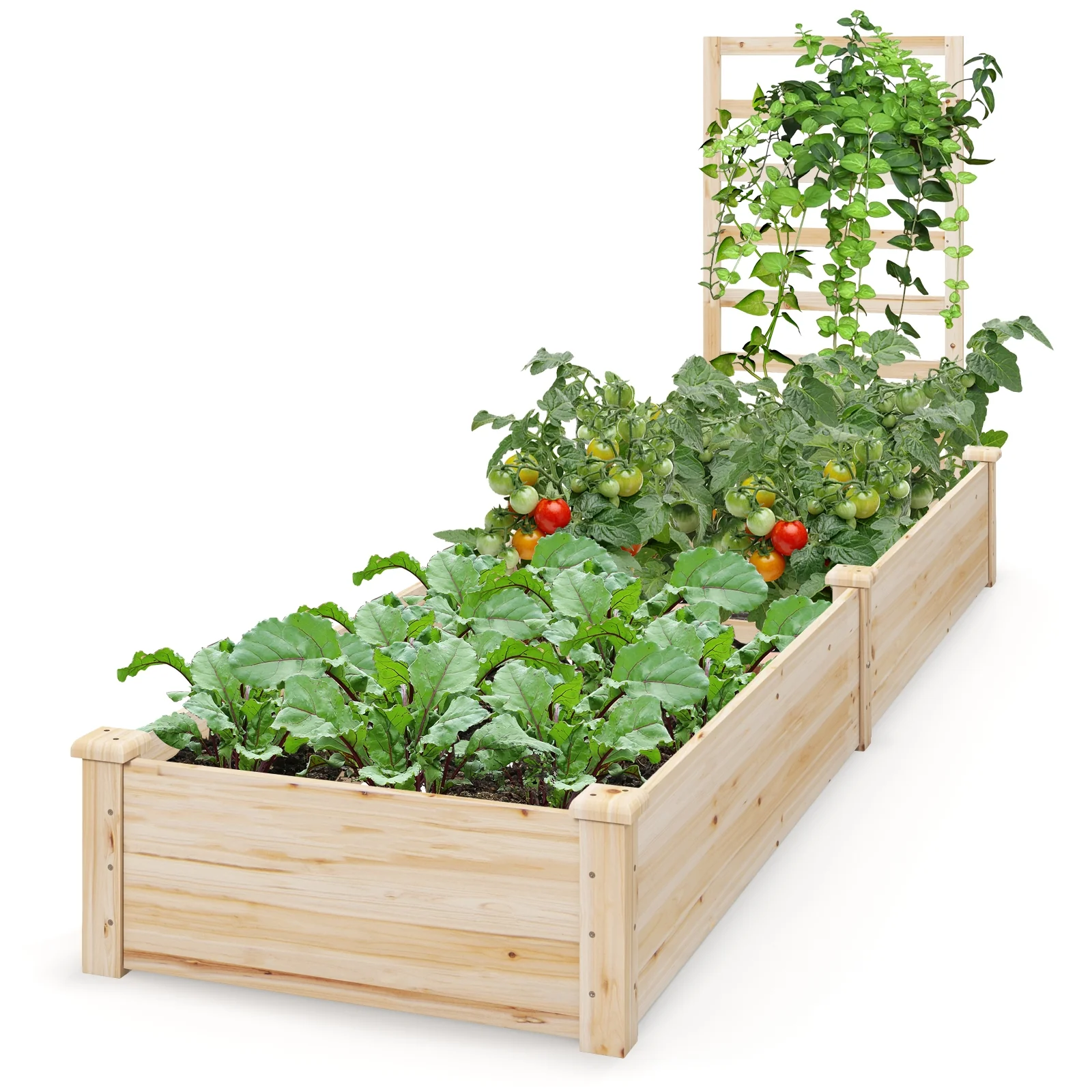Raised Garden Bed with Planter Box and Trellis, Natural - Image 5