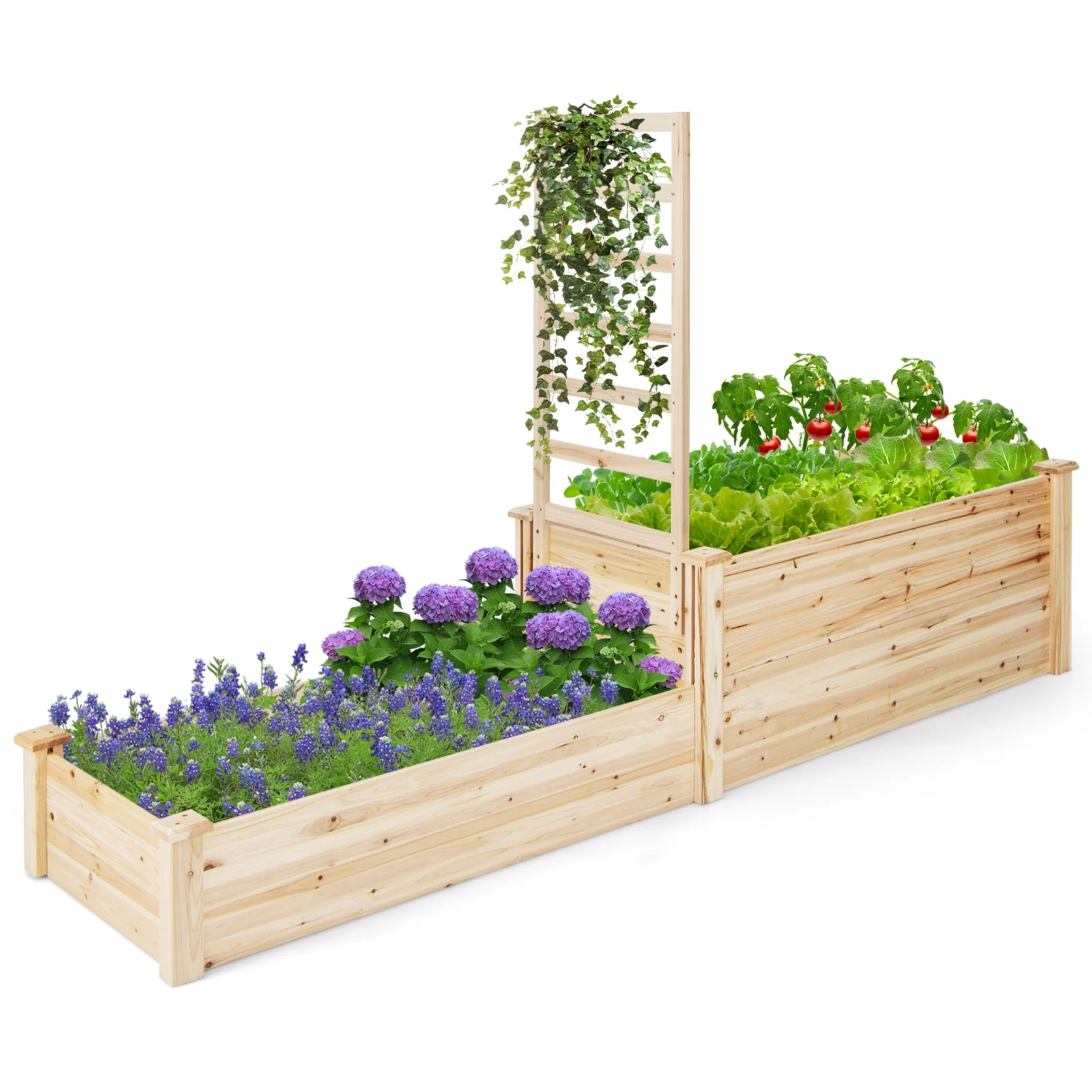 Raised Garden Bed With Trellis, Natural - Image 5