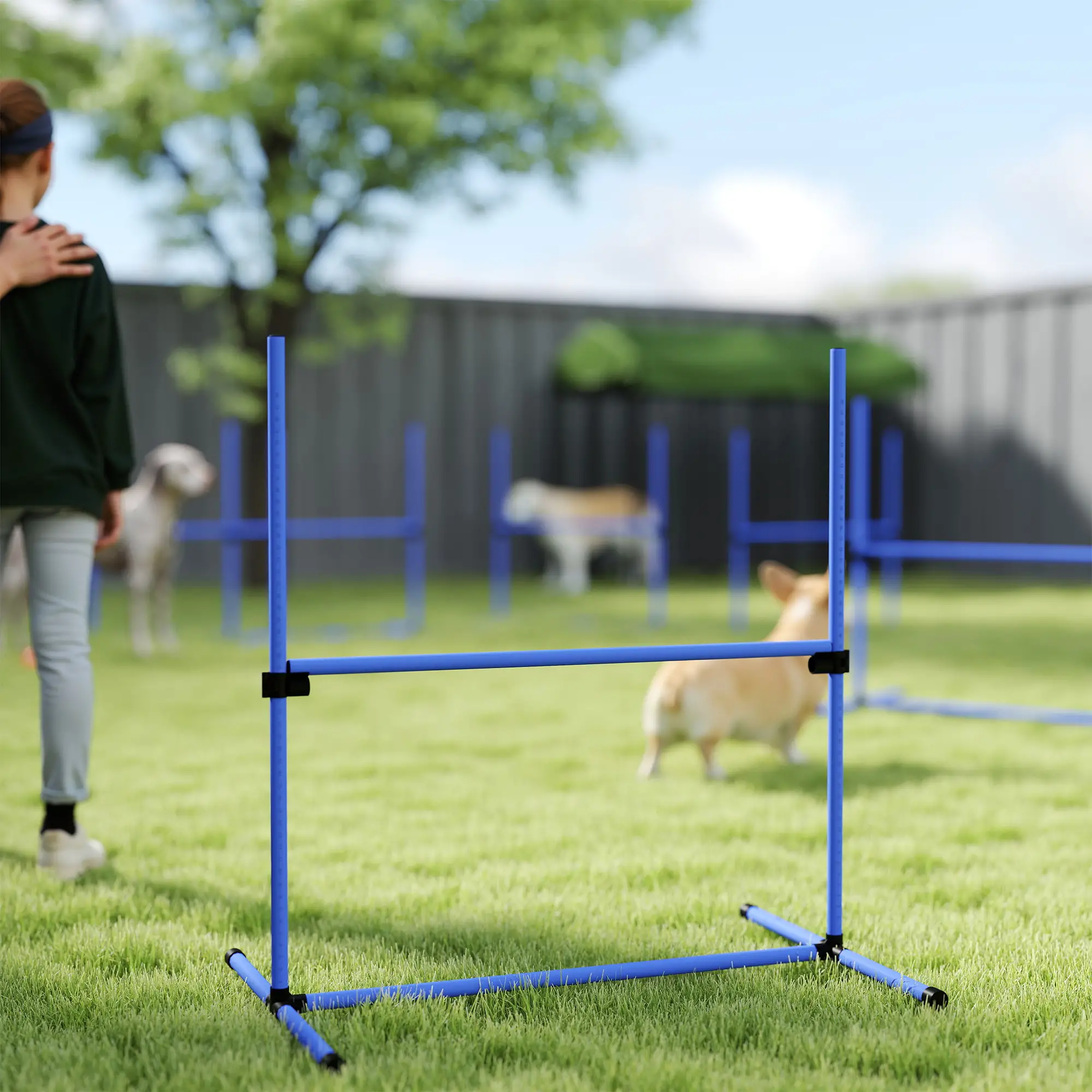 Set of 6 Dog Agility Training Jump Bars, Adjustable, Blue - Image 10